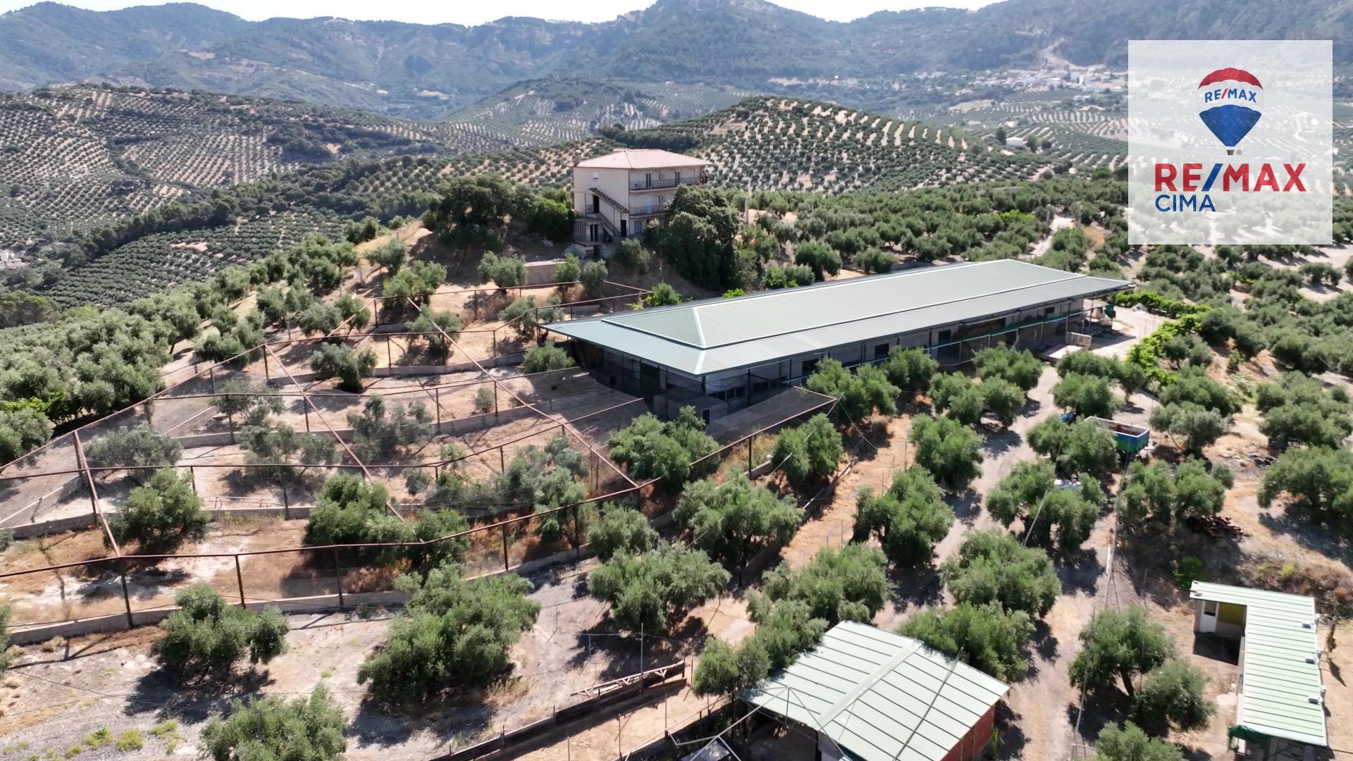 Fincas y solares-Venta-La Iruela-1264256-Foto-55