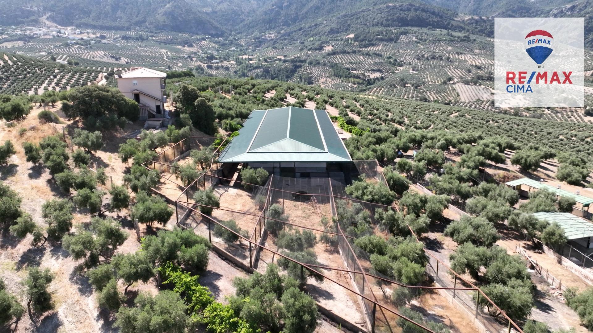 Fincas y solares-Venta-La Iruela-1264256-Foto-56