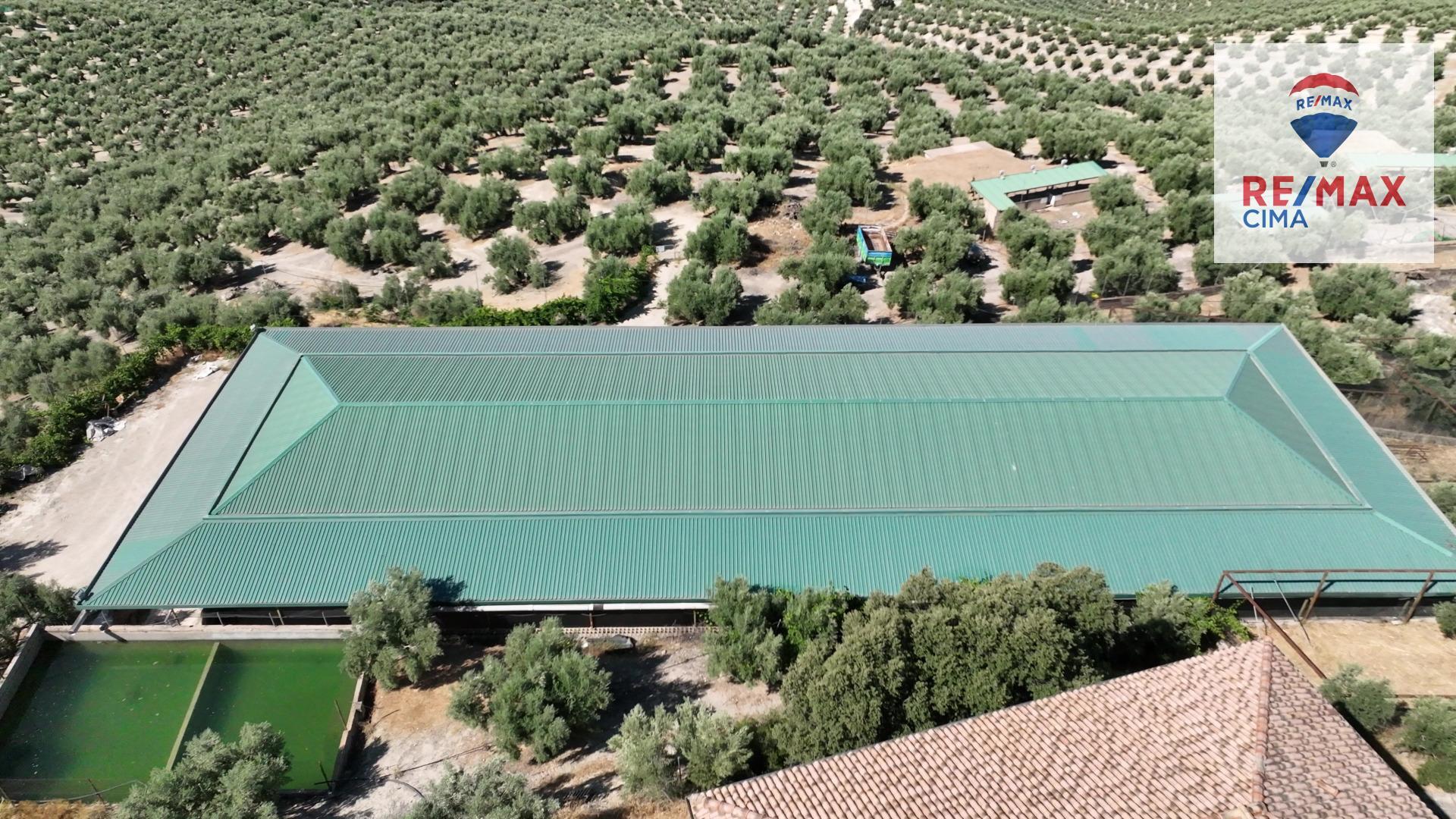 Fincas y solares-Venta-La Iruela-1264256-Foto-59
