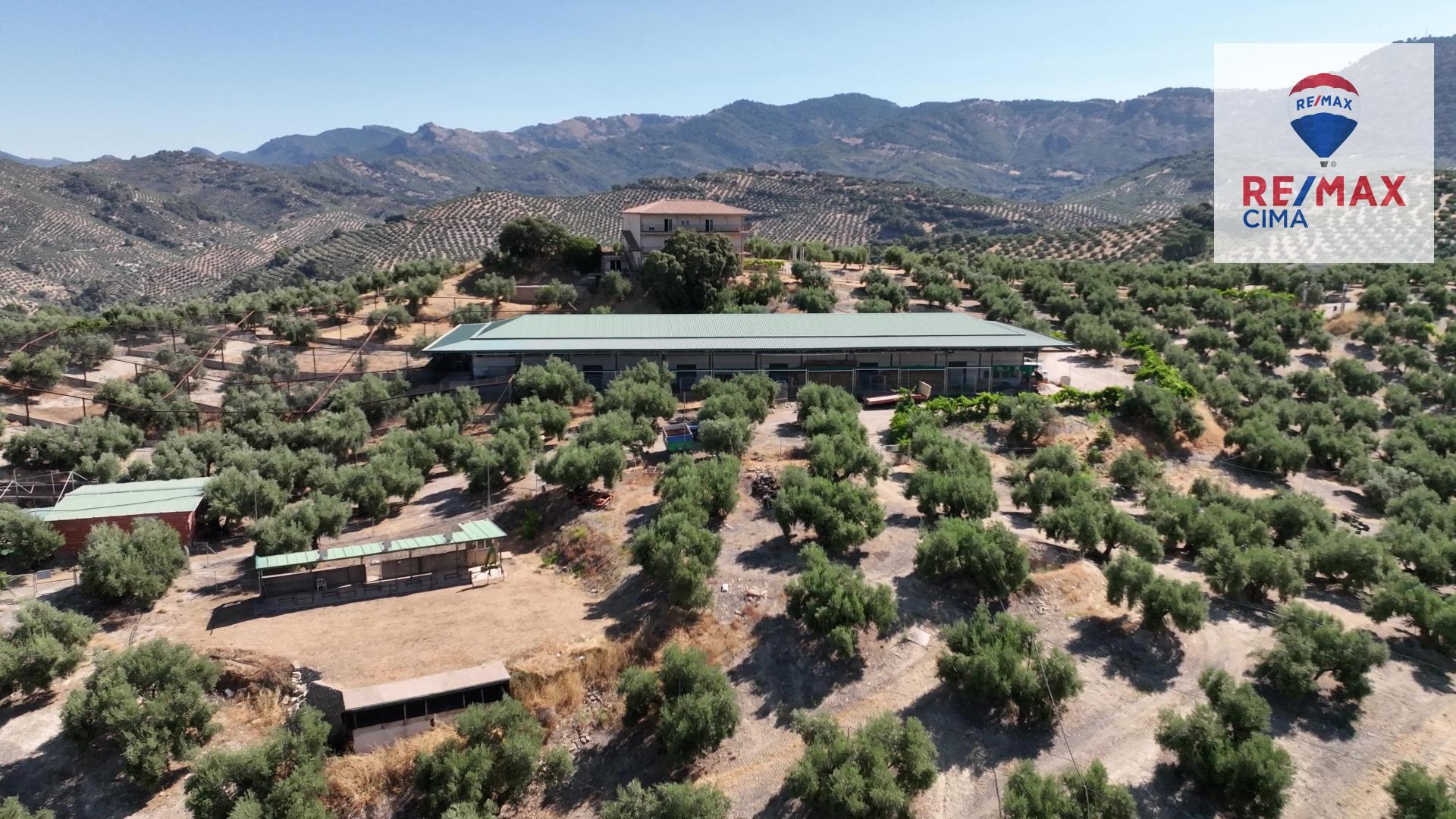 Fincas y solares-Venta-La Iruela-1264256-Foto-68