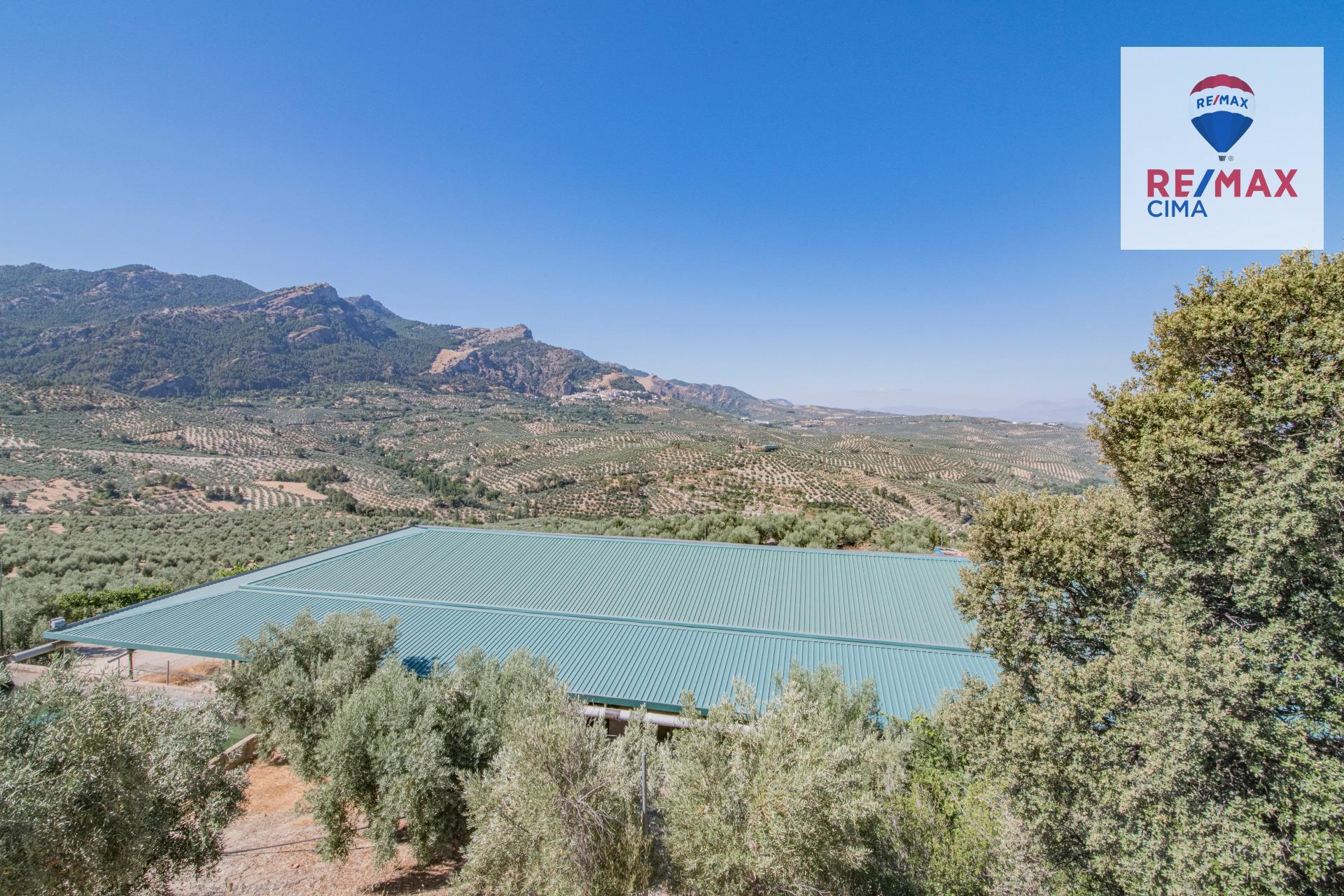 Fincas y solares-Venta-La Iruela-1264256-Foto-70
