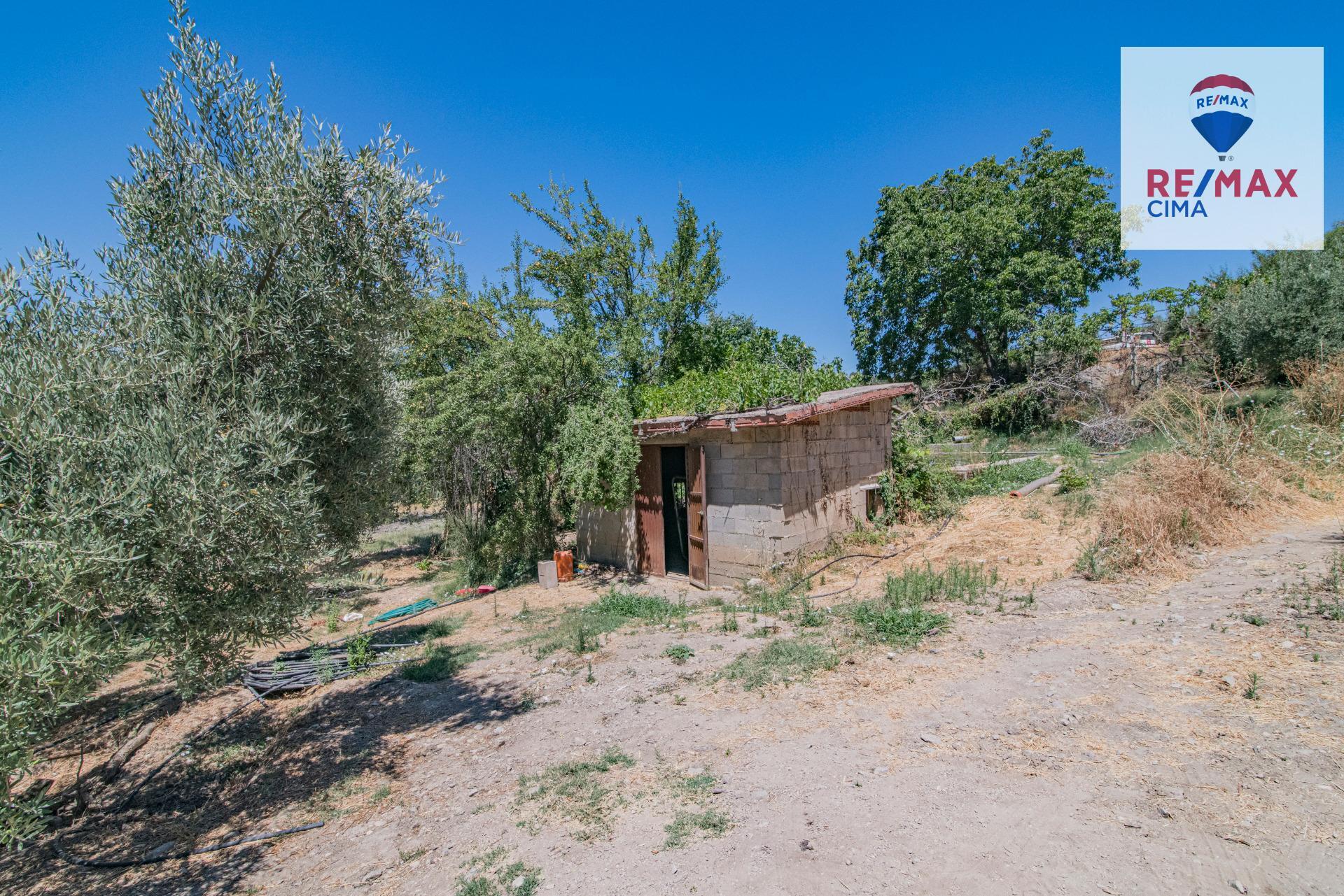 Fincas y solares-Venta-La Iruela-1264256-Foto-75