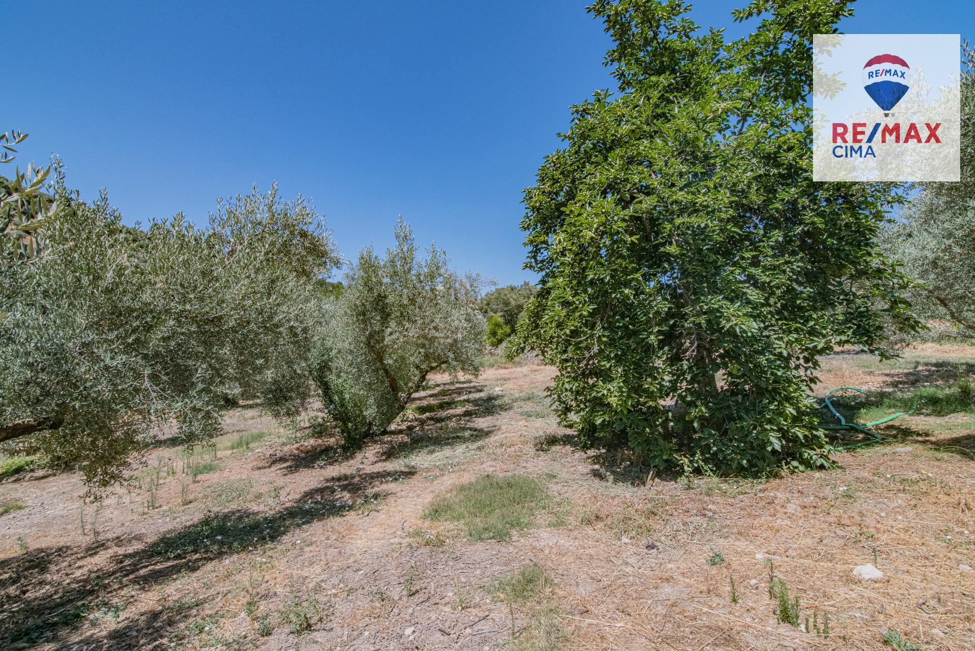 Fincas y solares-Venta-La Iruela-1264256-Foto-73