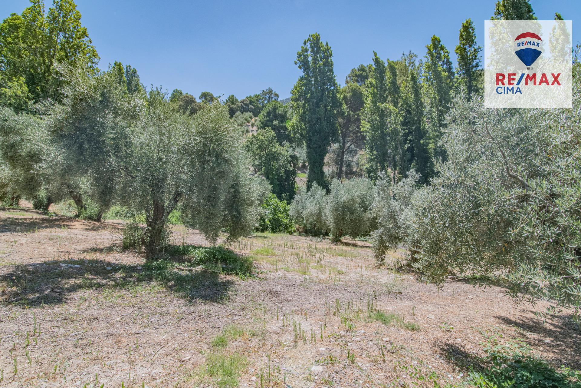 Fincas y solares-Venta-La Iruela-1264256-Foto-76