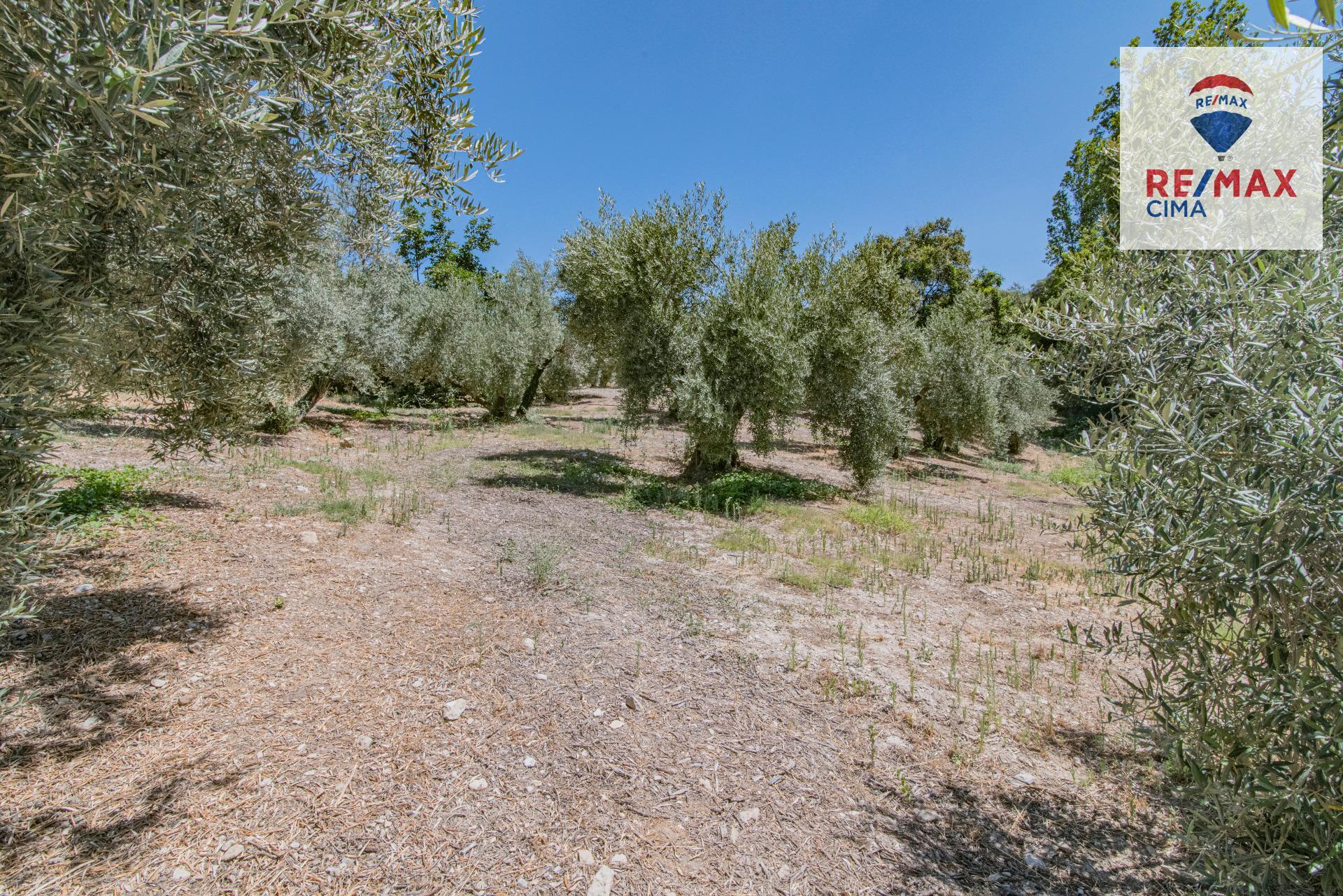 Fincas y solares-Venta-La Iruela-1264256-Foto-77