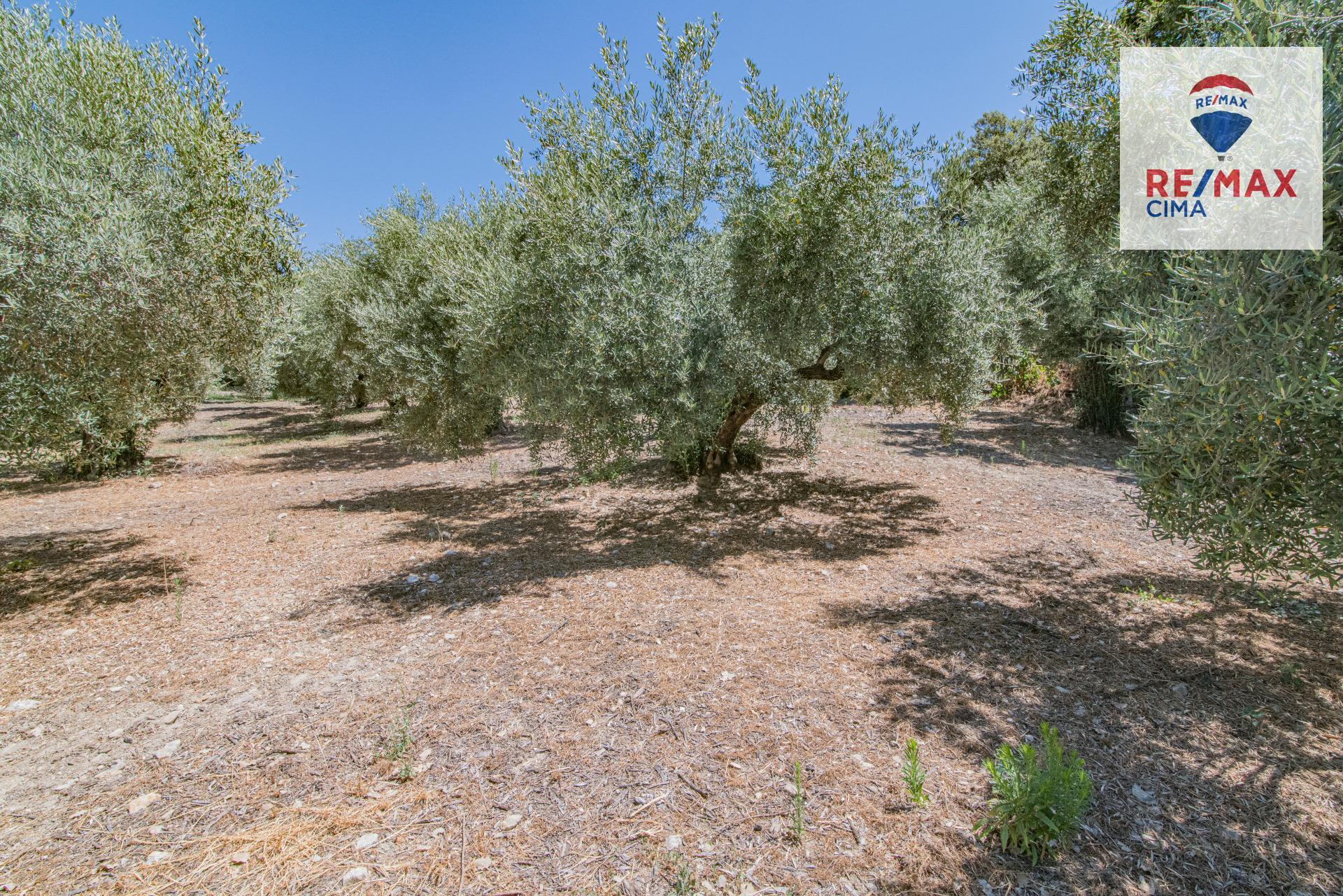 Fincas y solares-Venta-La Iruela-1264256-Foto-81