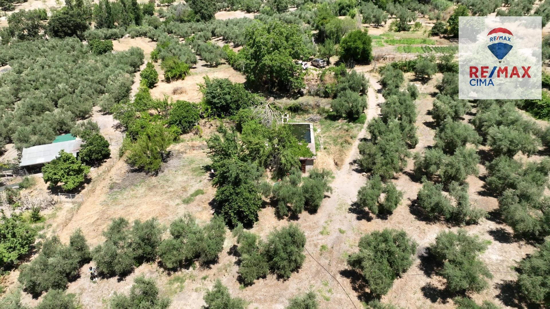 Fincas y solares-Venta-La Iruela-1264256-Foto-84