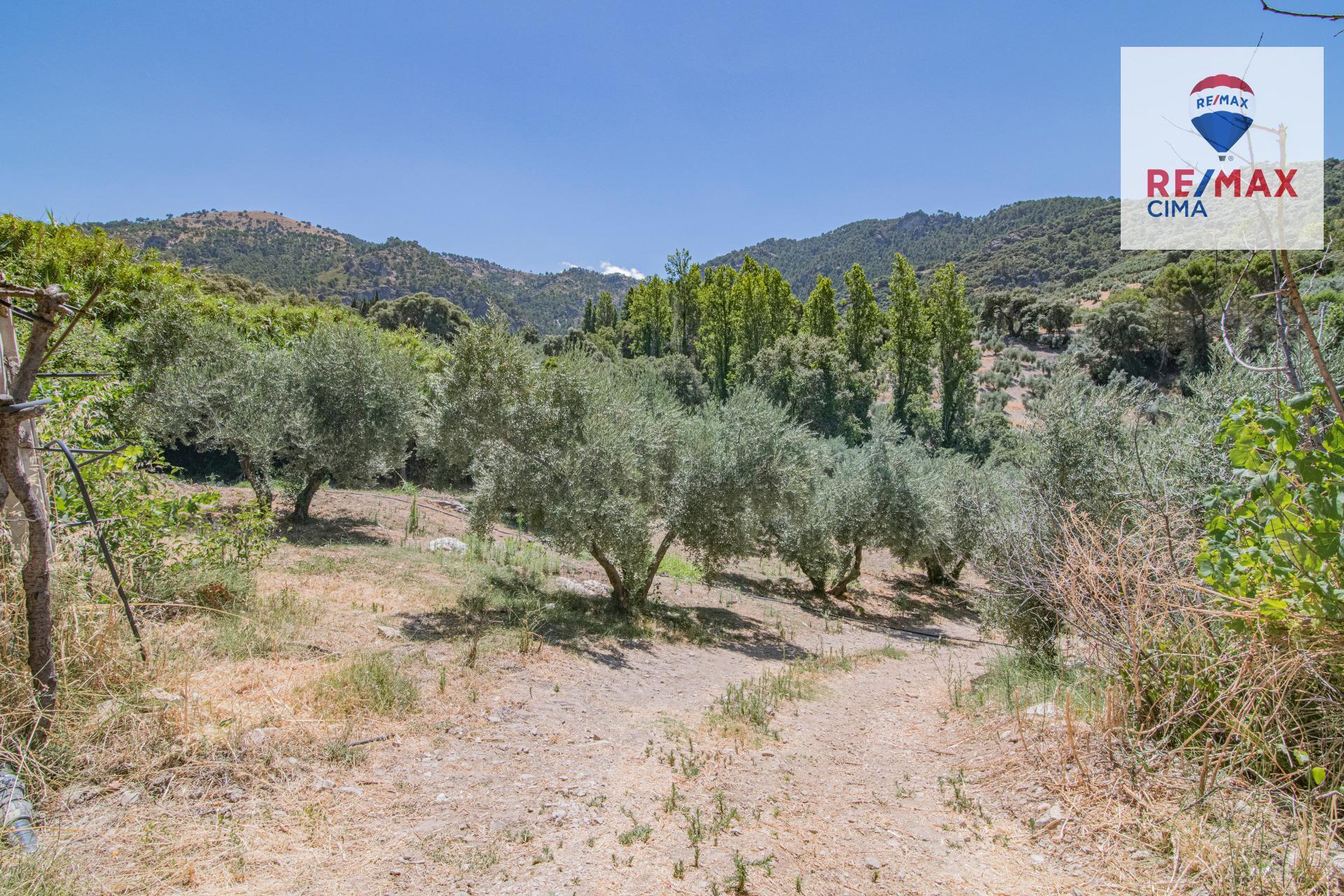 Fincas y solares-Venta-La Iruela-1264256-Foto-83