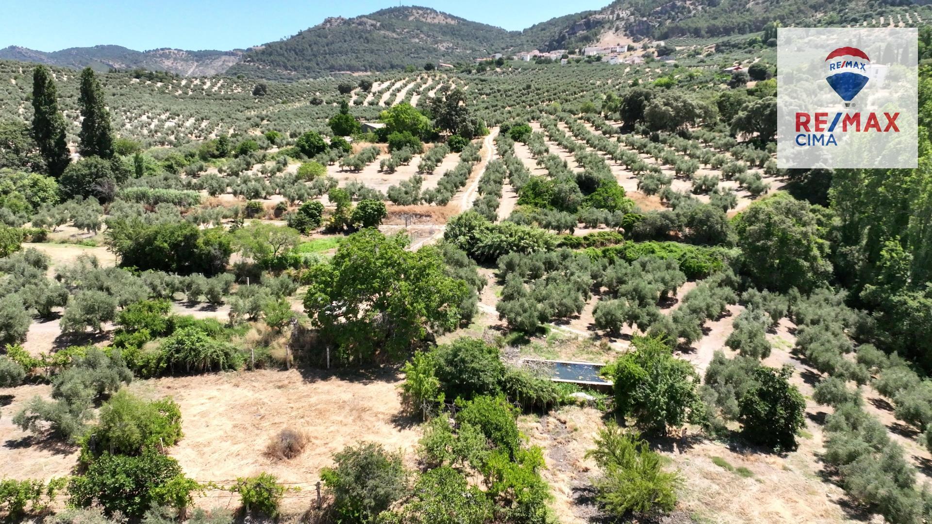 Fincas y solares-Venta-La Iruela-1264256-Foto-87