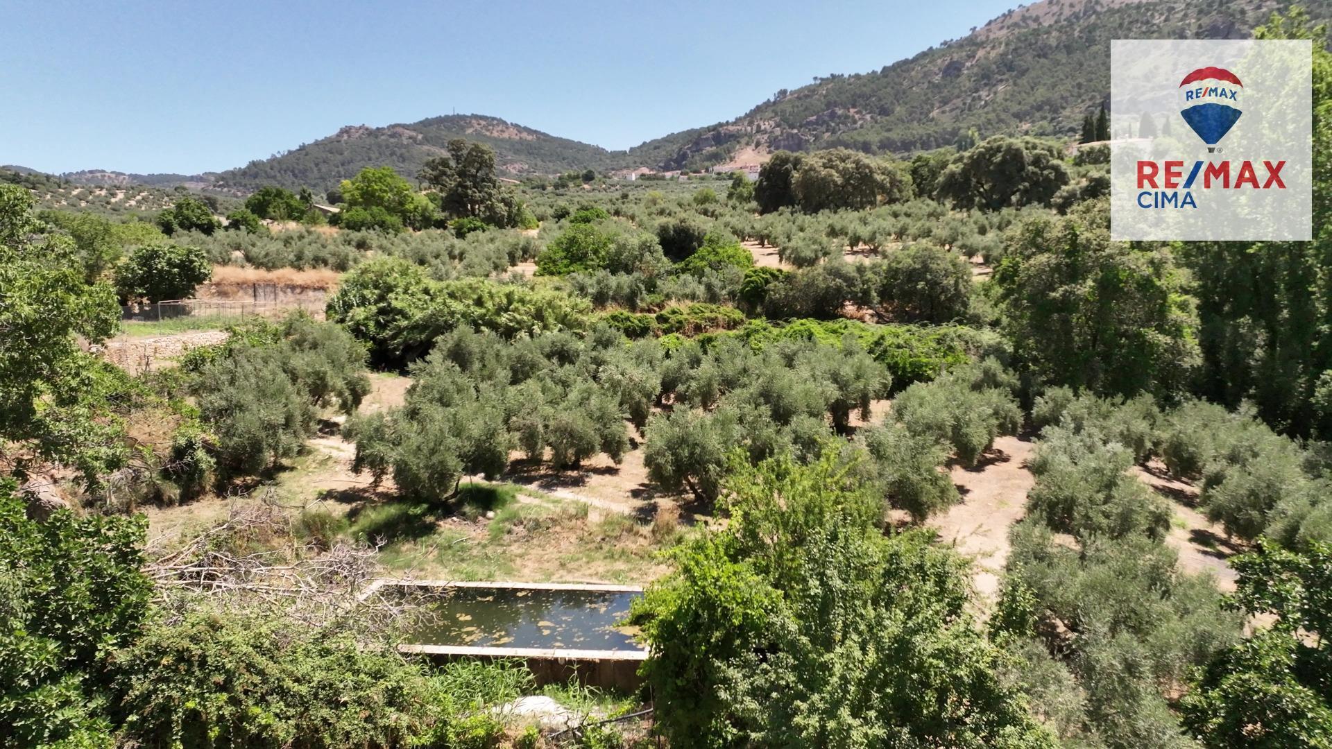 Fincas y solares-Venta-La Iruela-1264256-Foto-91