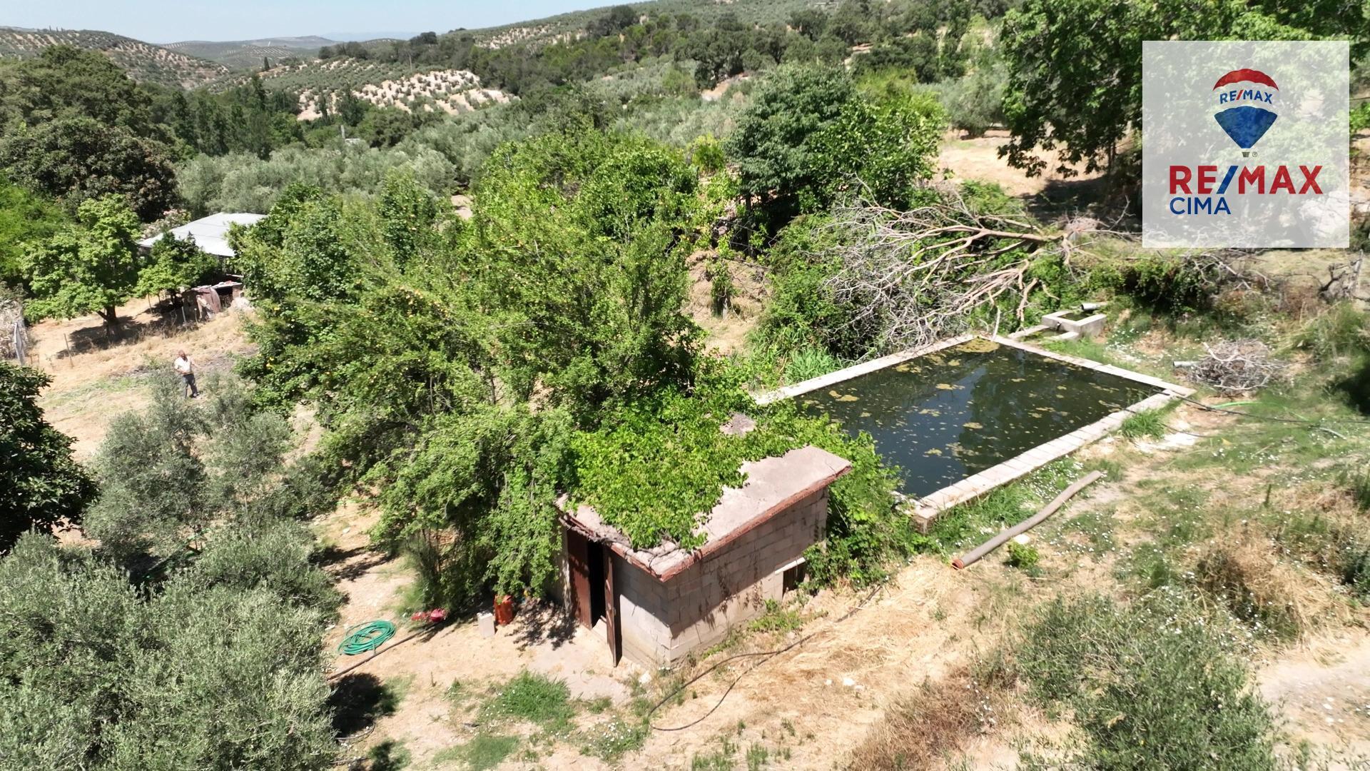 Fincas y solares-Venta-La Iruela-1264256-Foto-94
