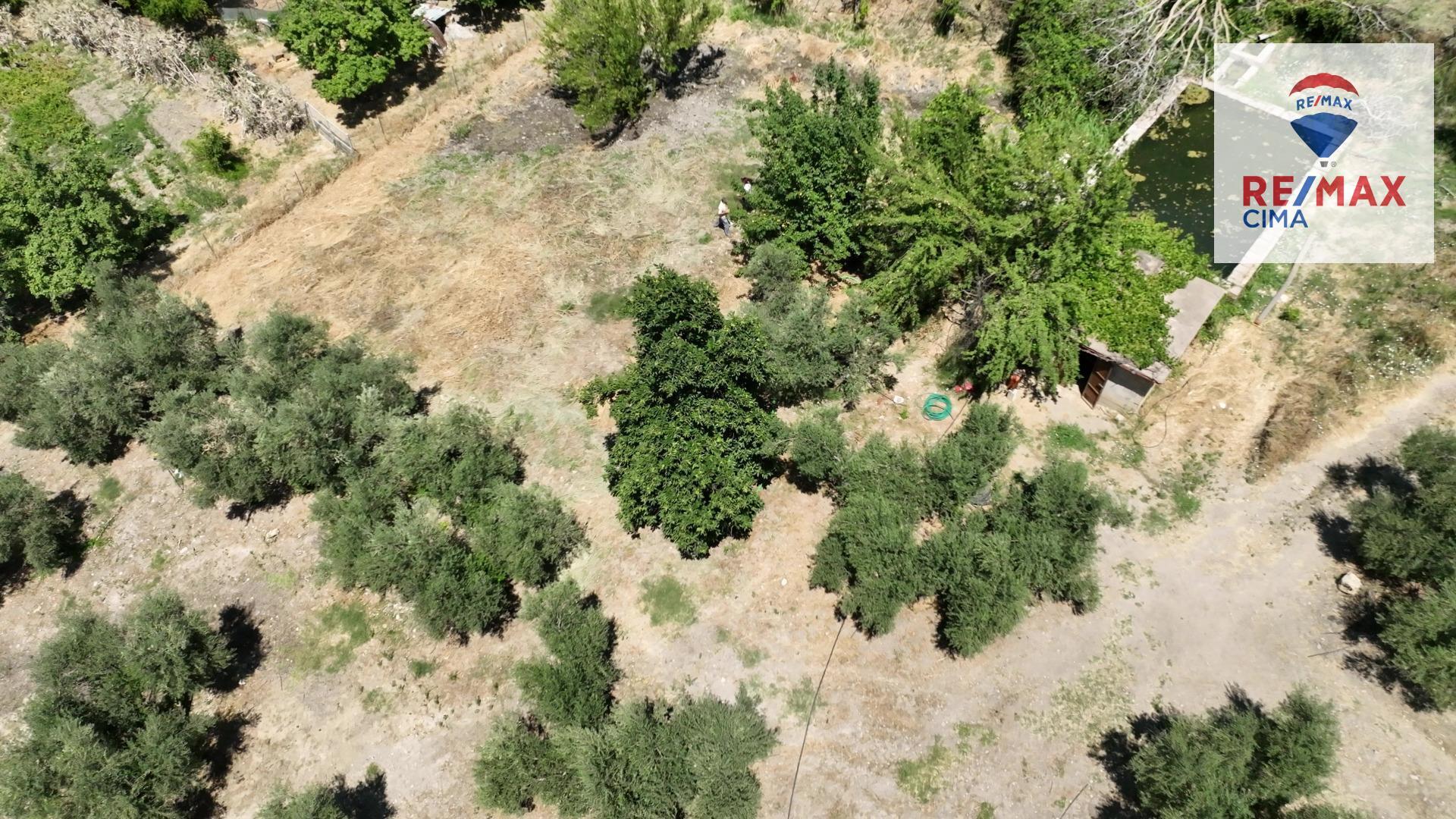 Fincas y solares-Venta-La Iruela-1264256-Foto-97