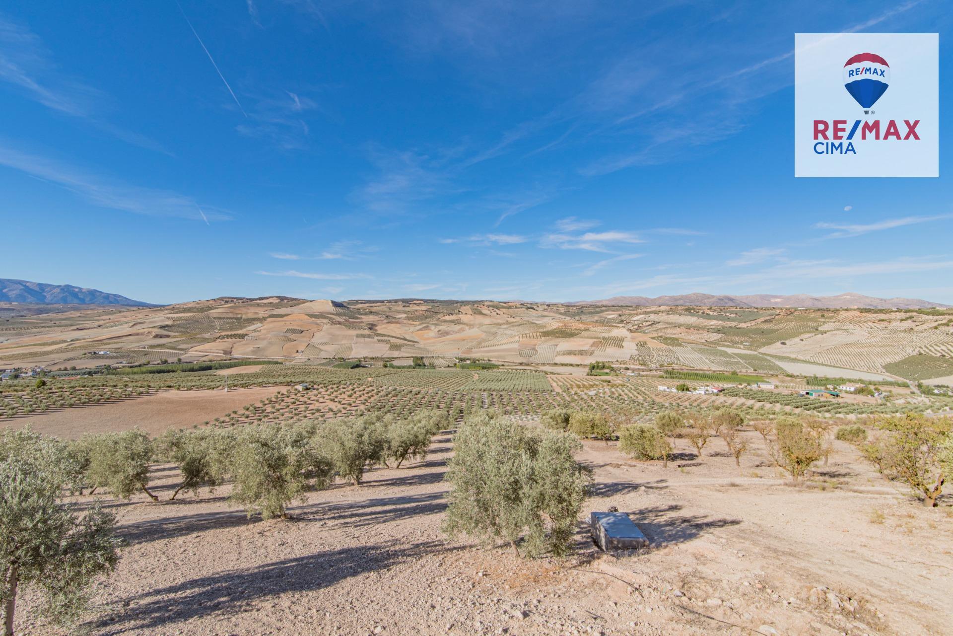 Fincas y solares-Venta-Alhama de Granada-1077985-Foto-33