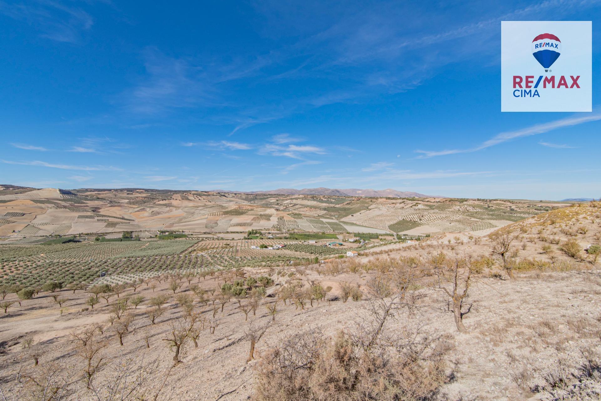Fincas y solares-Venta-Alhama de Granada-1077985-Foto-44
