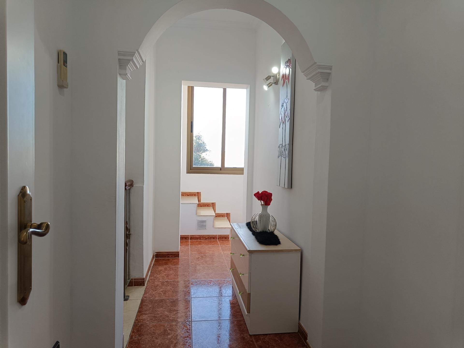 Casas o chalets-Venta-Manacor-1536170-Foto-19