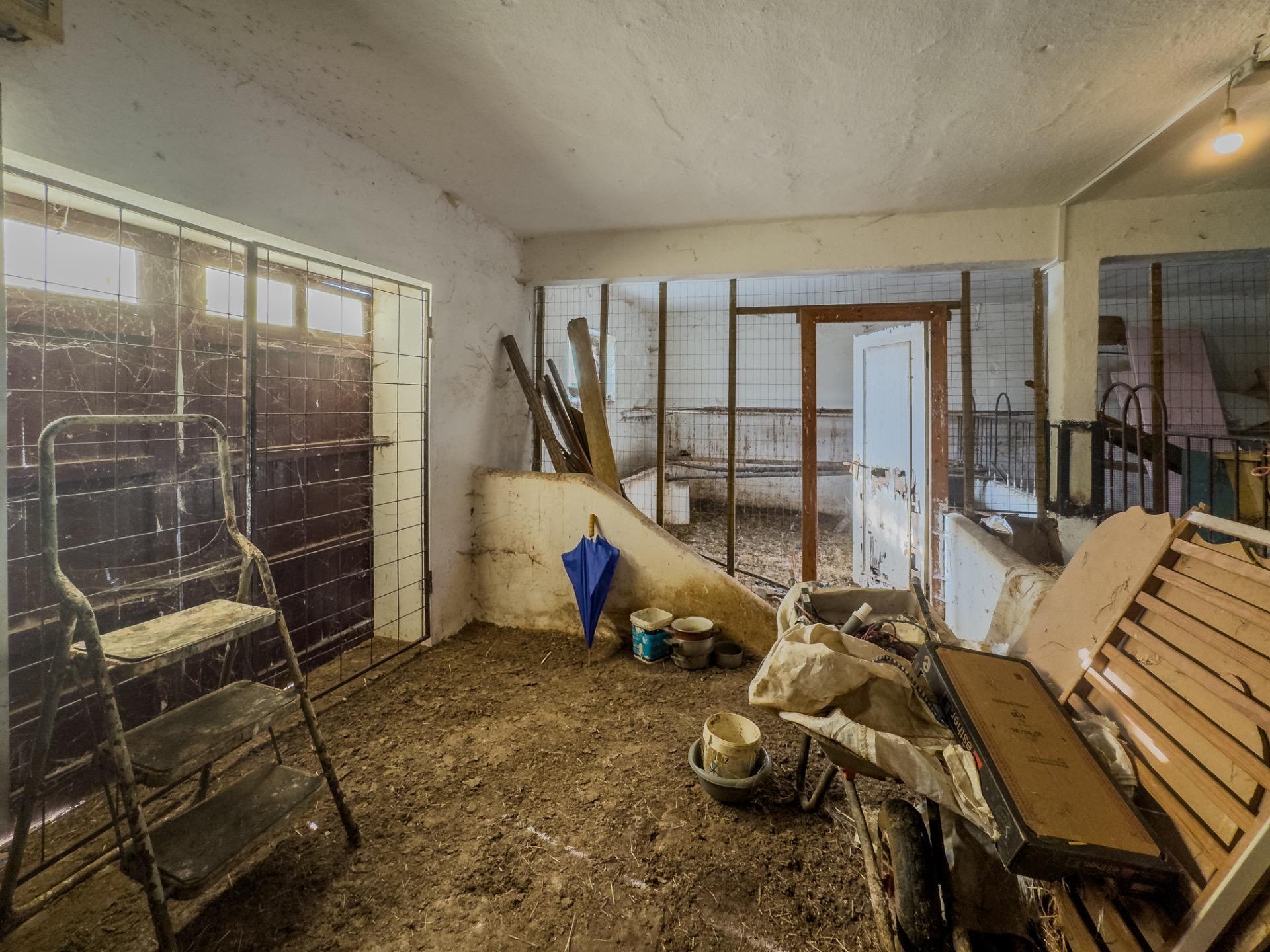 Fincas y solares-Venta-PiÃ©lagos-1652937-Foto-36