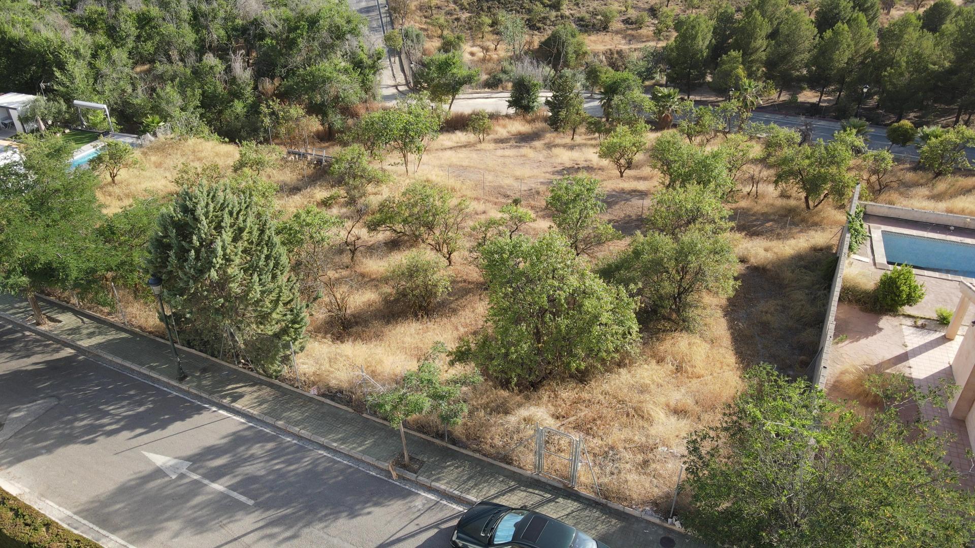 Fincas y solares-Venta-Villa de Otura-1264289-Foto-17