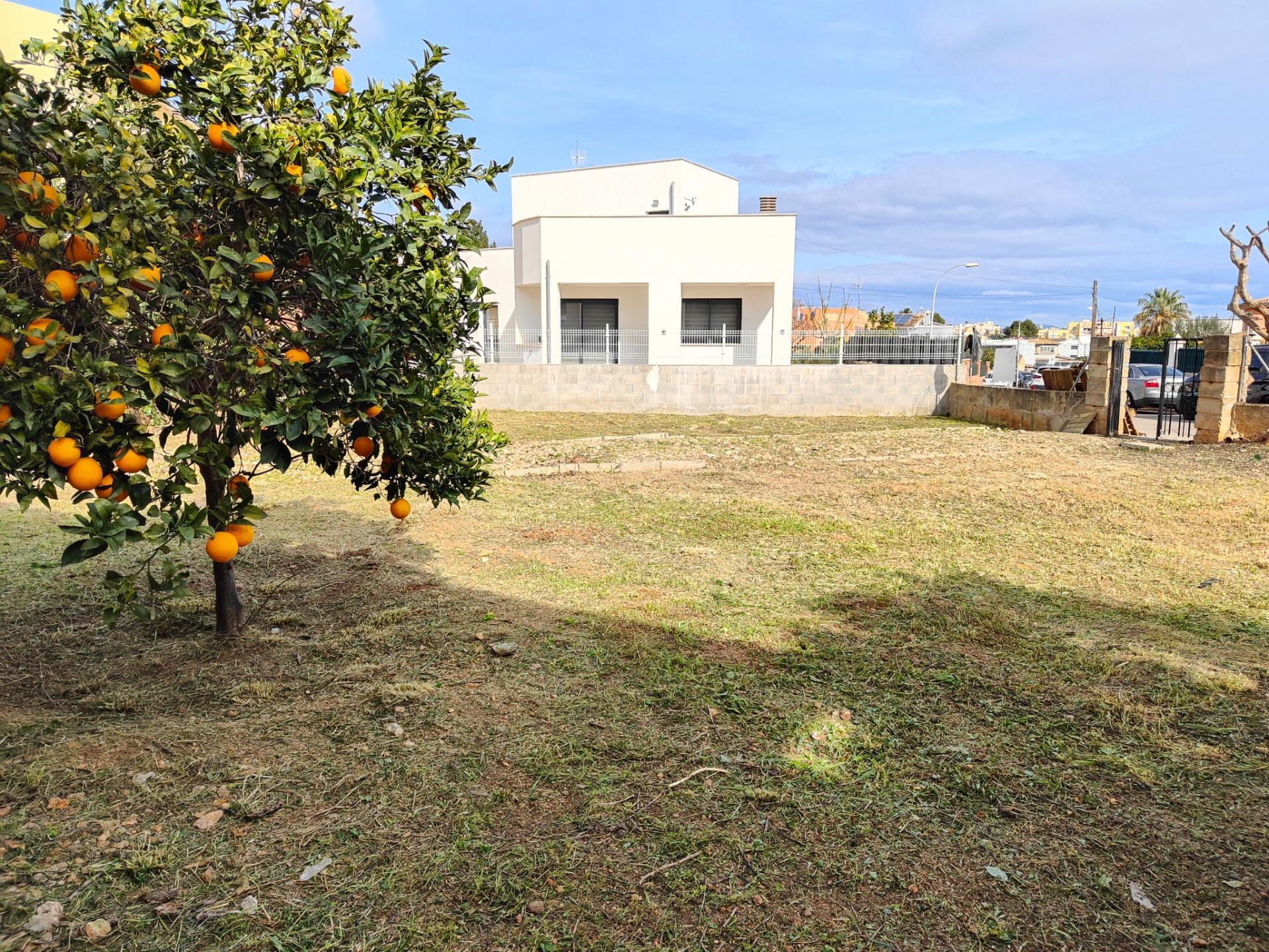 Fincas y solares-Venta-CalviÃ -1521203-Foto-4