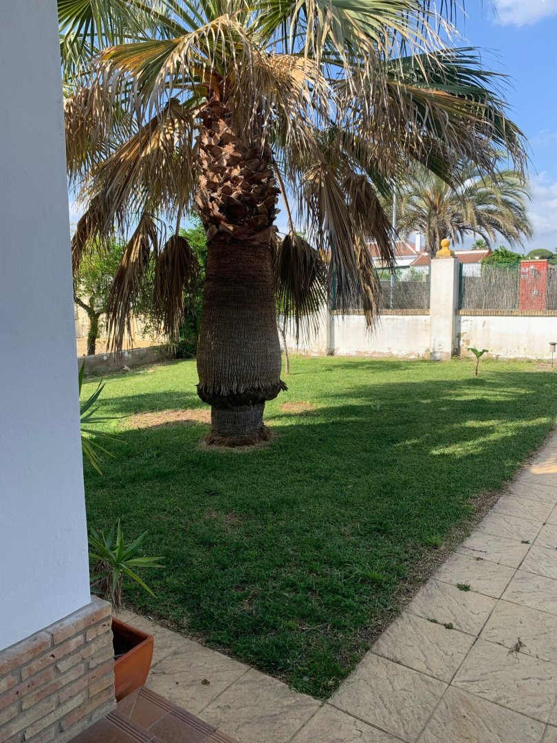 Casas o chalets-Venta-La Hinojosa-972346