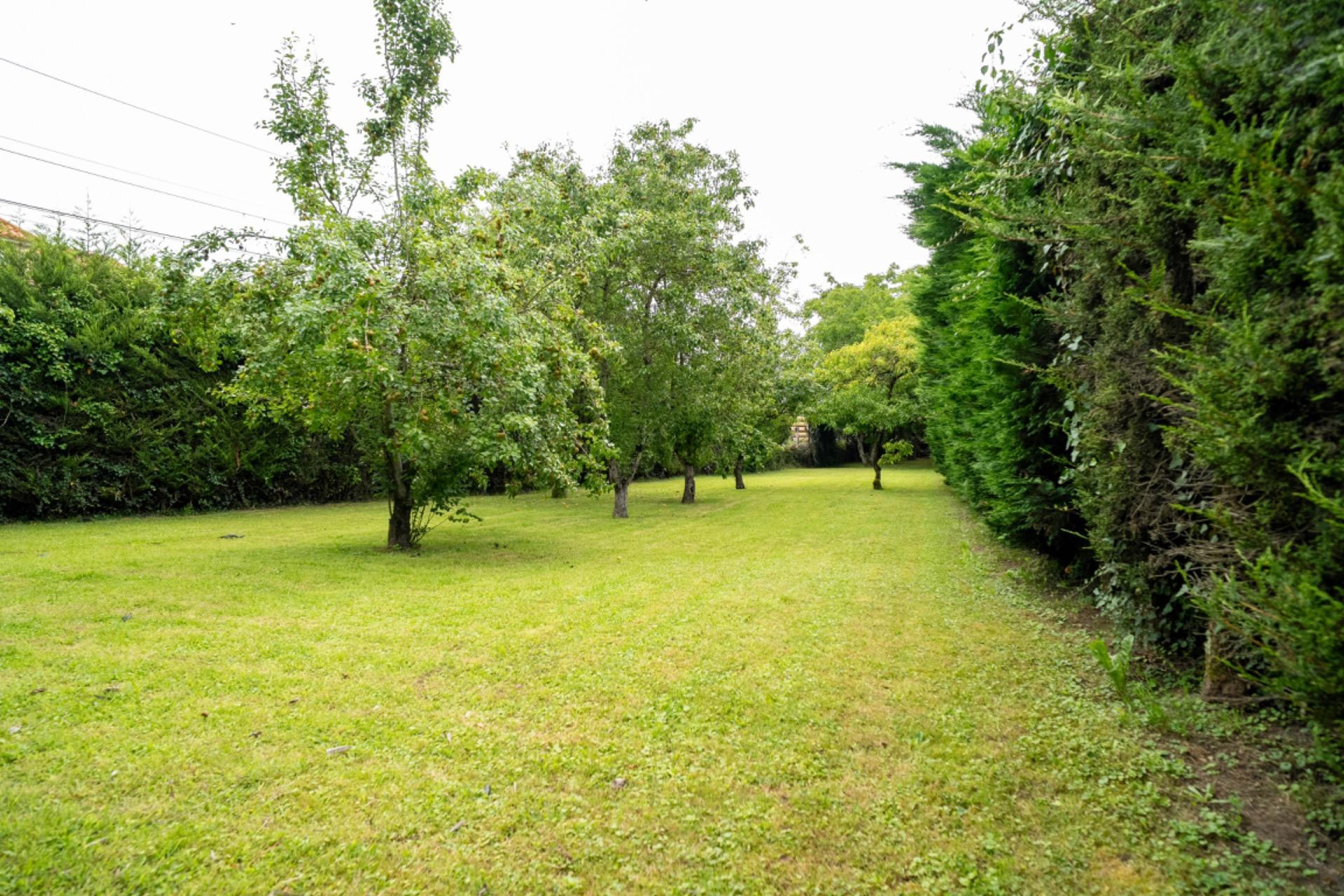 Casas o chalets-Venta-PiÃ©lagos-1355662-Foto-28