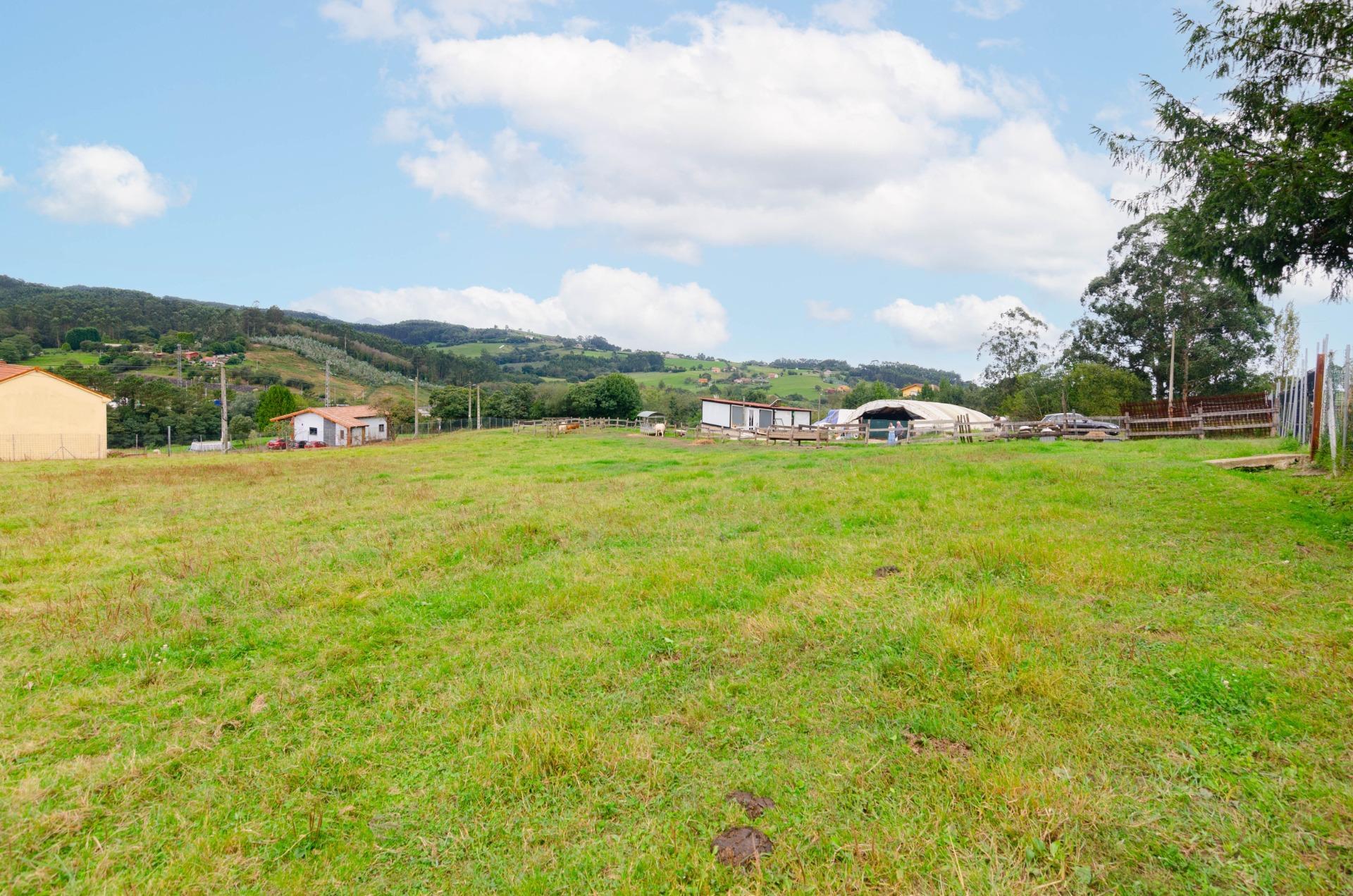 Fincas y solares-Venta-CarreÃ±o-1411537-Foto-5