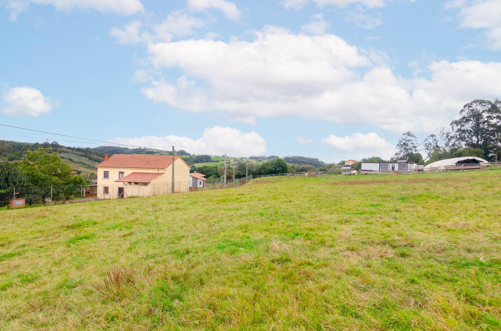 Fincas y solares-Venta-CarreÃ±o-1411537-Foto-18