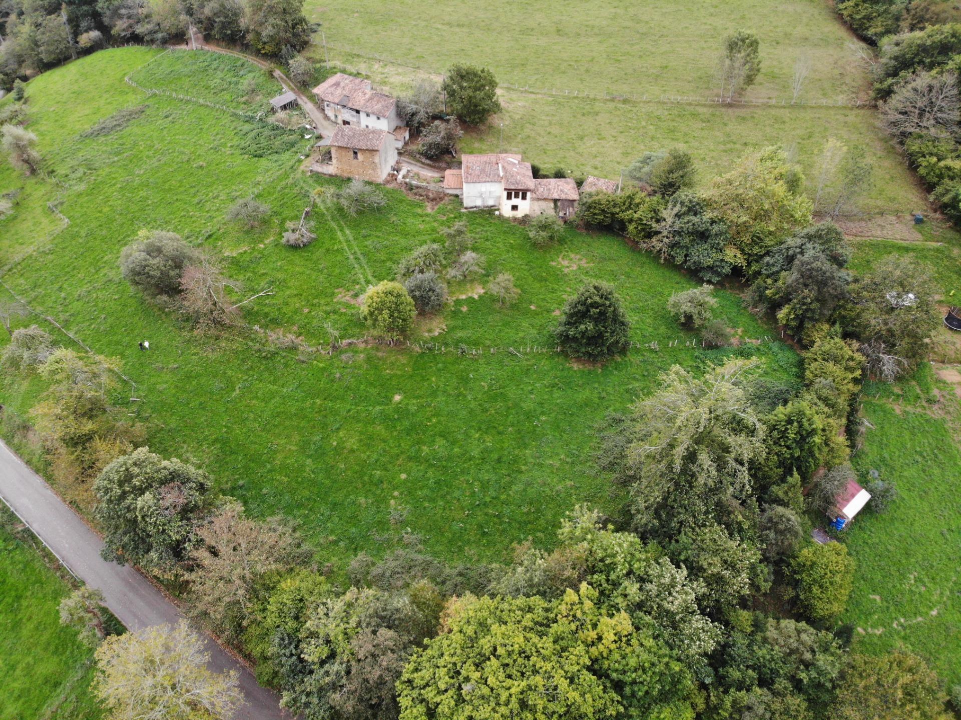 Fincas y solares-Venta-PiloÃ±a-1439495-Foto-4