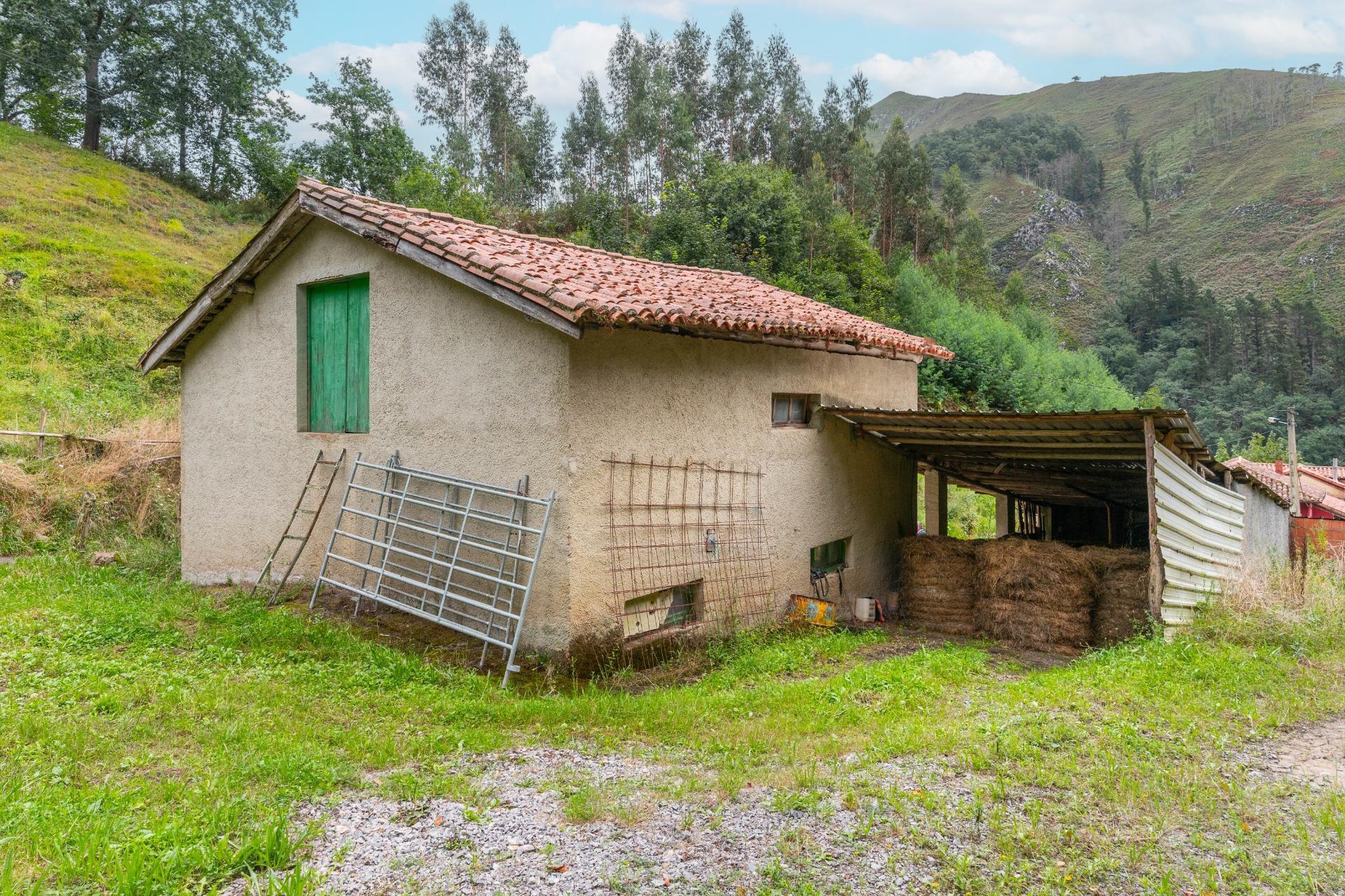 Casas o chalets-Venta-PiloÃ±a-1402245-Foto-4