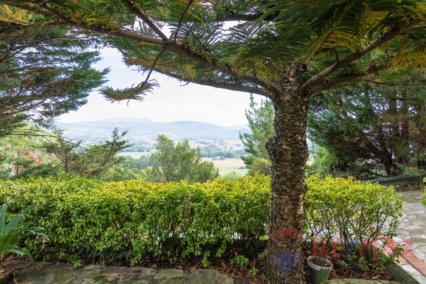 Casas o chalets-Venta-Entrambasaguas-791302-Foto-51