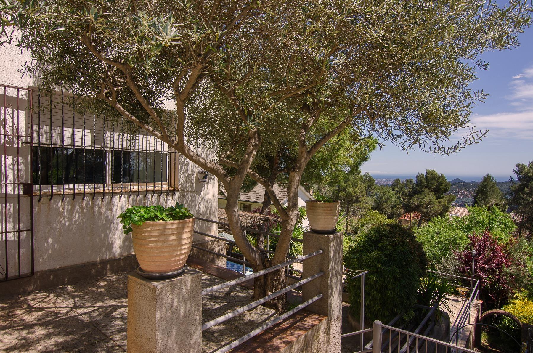 Casas o chalets-Venta-Corbera de Llobregat-1682293-Foto-46