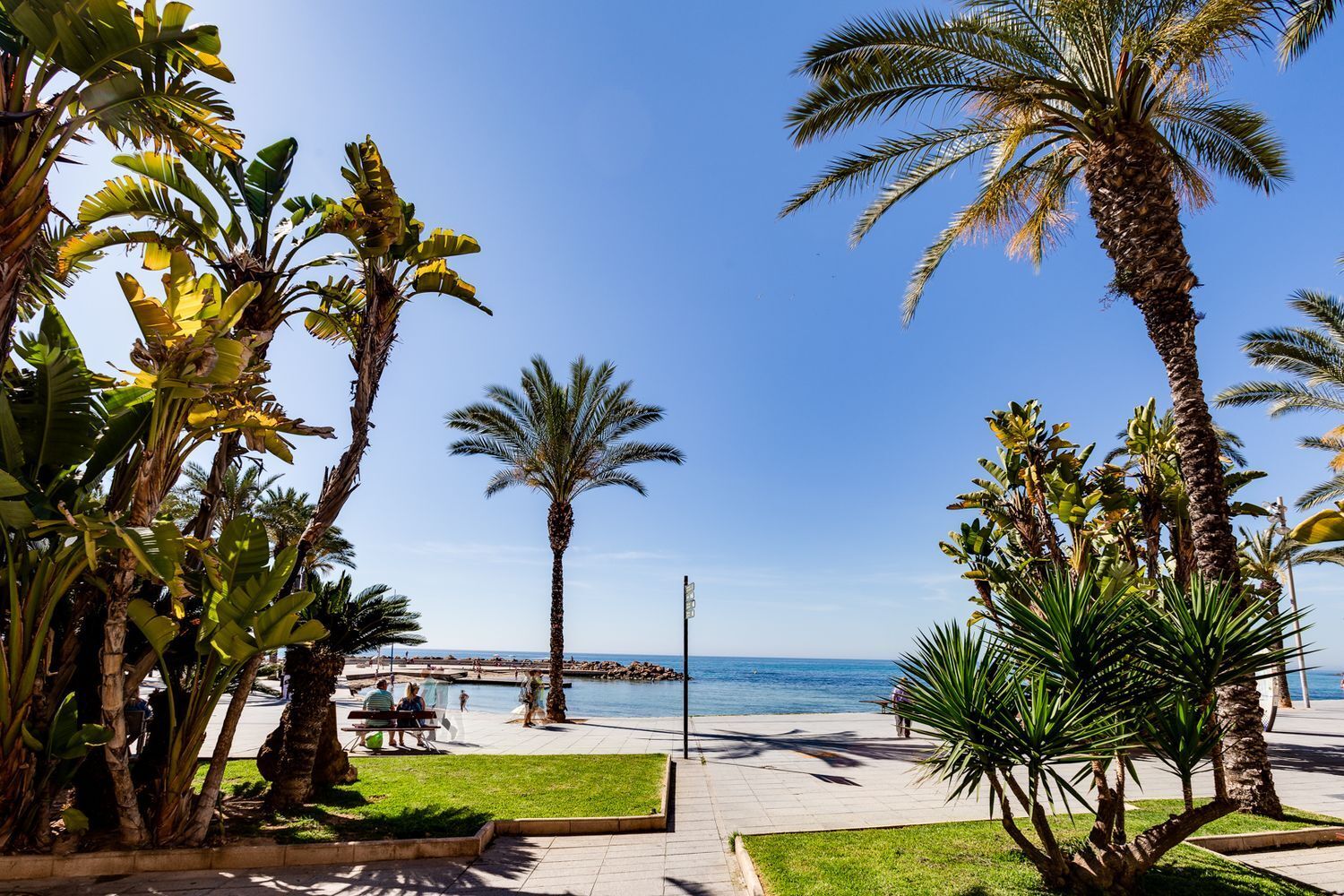 Pisos-Venta-Torrevieja-1399068-Foto-49
