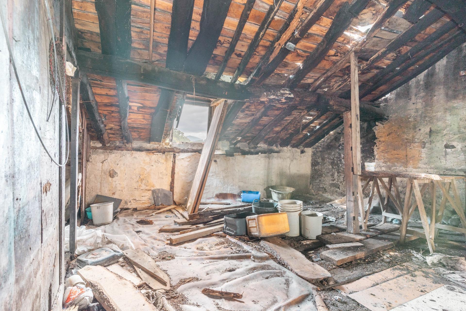 Edificios-Venta-ValdÃ©s-1480682-Foto-17