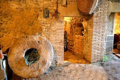 Pisos-Venta-BorrassÃ -1682329-Foto-36