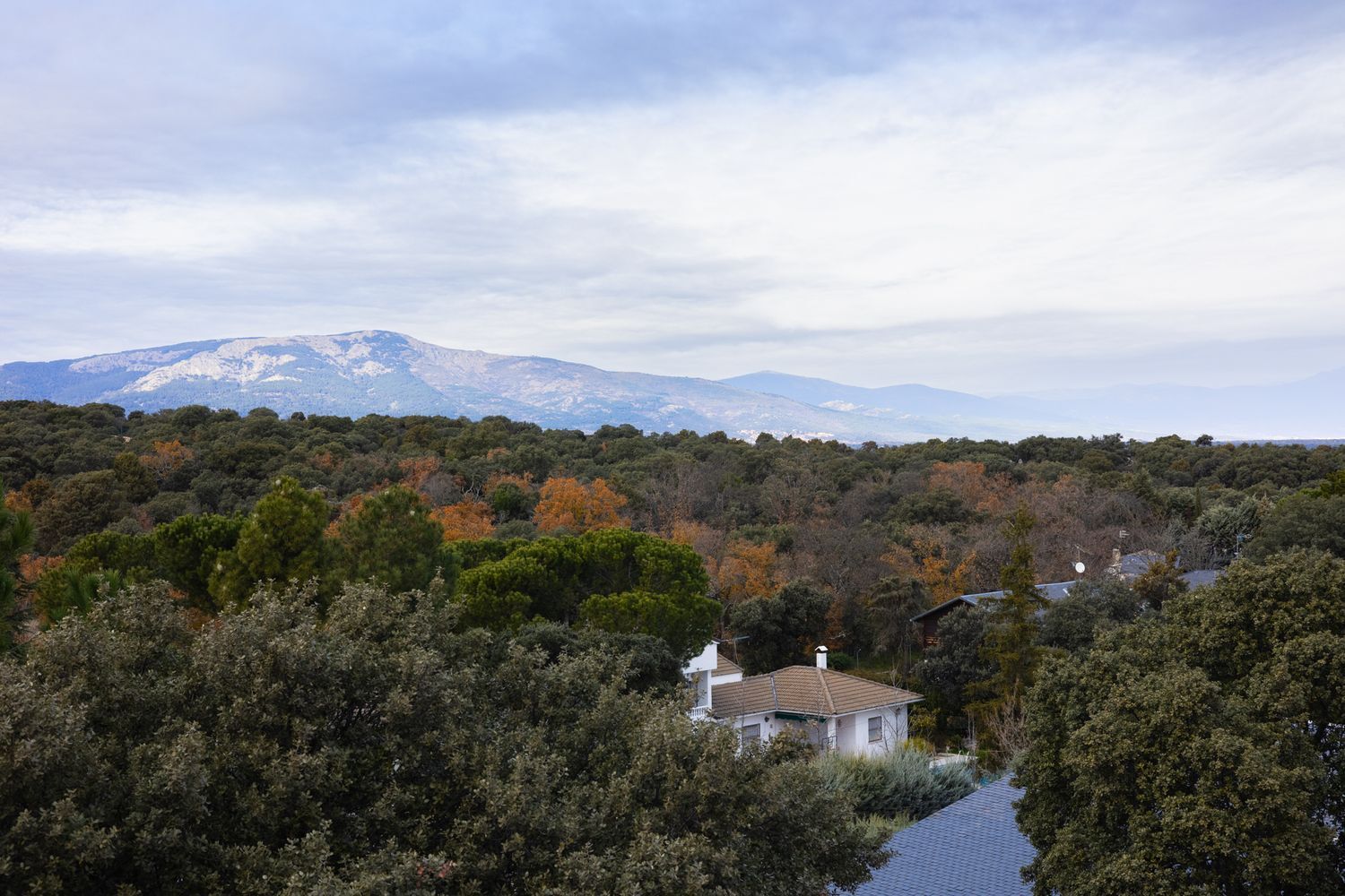 Casas o chalets-Venta-Valdemorillo-1521188-Foto-71