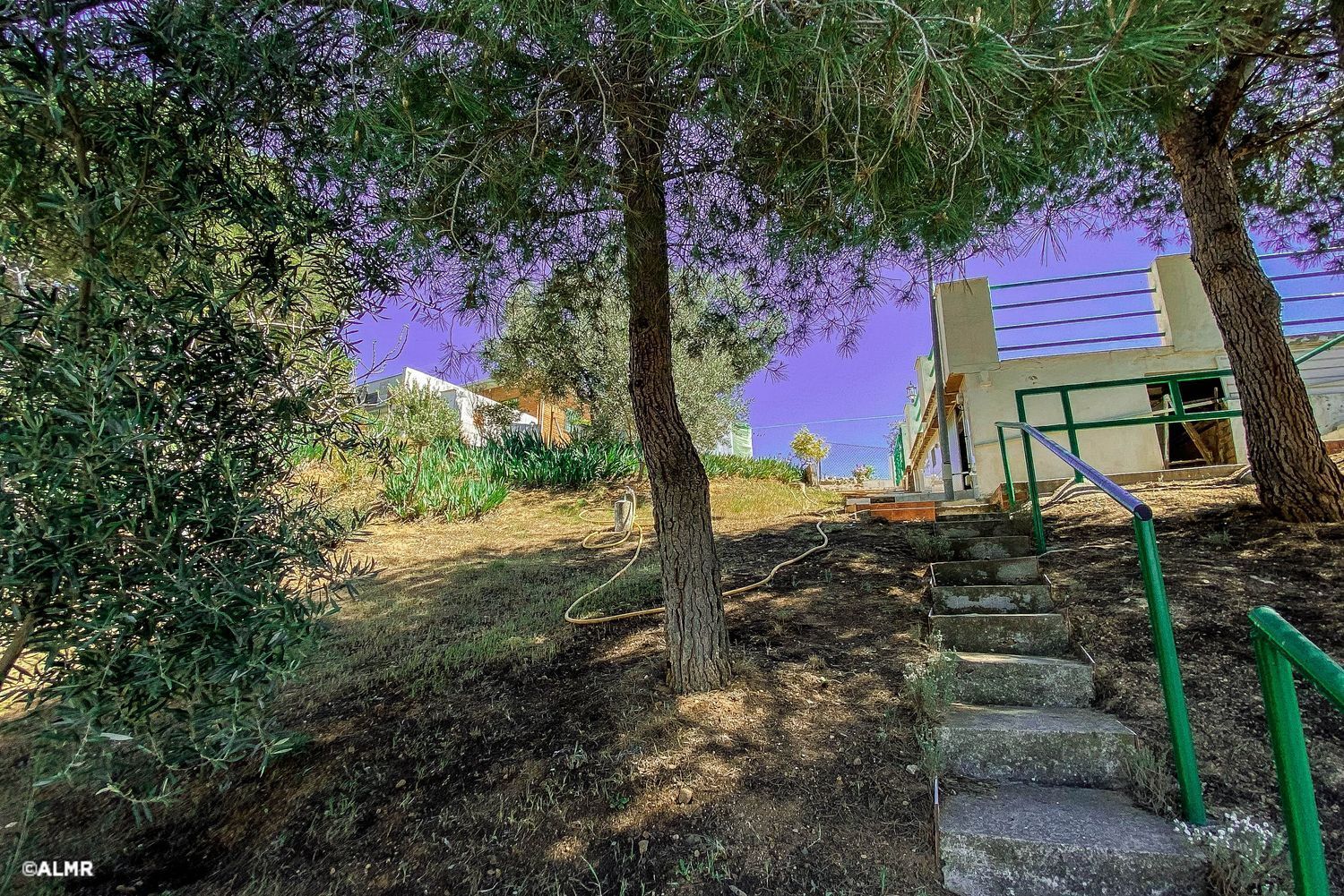 Casas o chalets-Venta-ChinchÃ³n-1103197-Foto-20