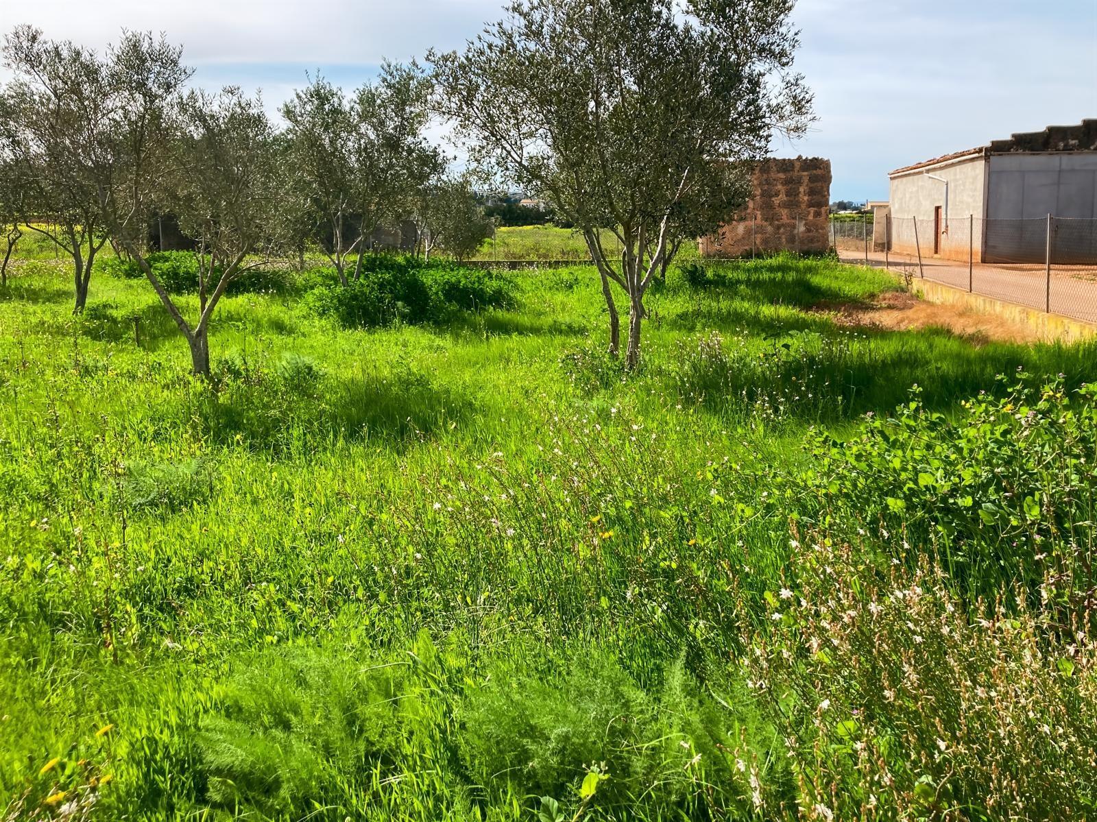 Pisos-Venta-Muro de Alcoy-1683627-Foto-16