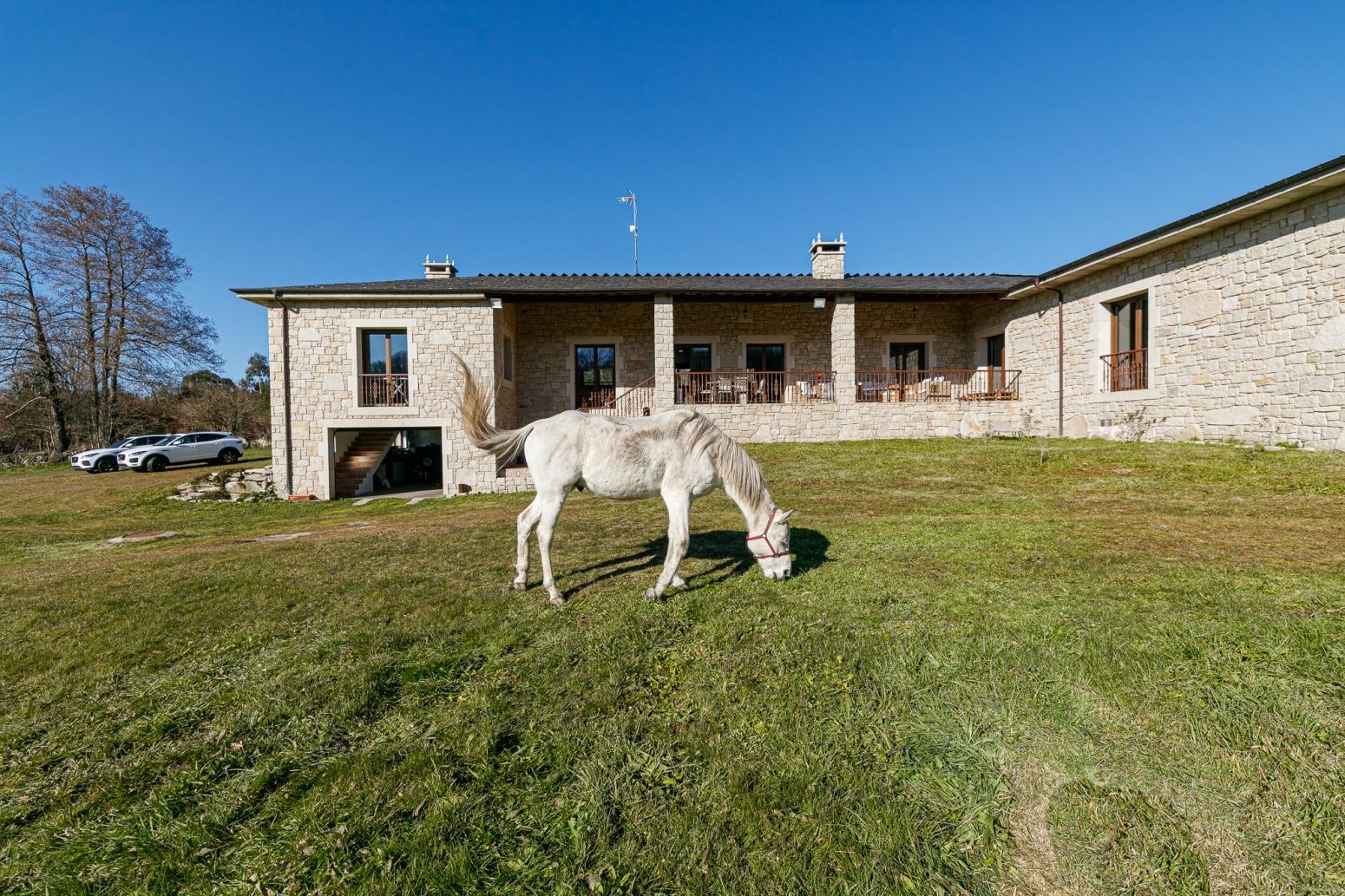 Casas o chalets-Venta-Friol-1022789-Foto-8