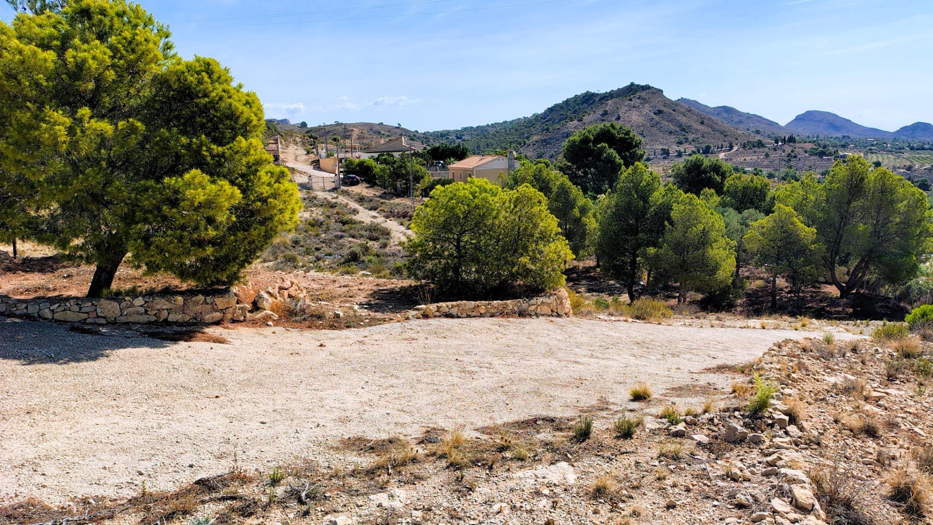 Pisos-Venta-San Vicente del Raspeig-1094529-Foto-43