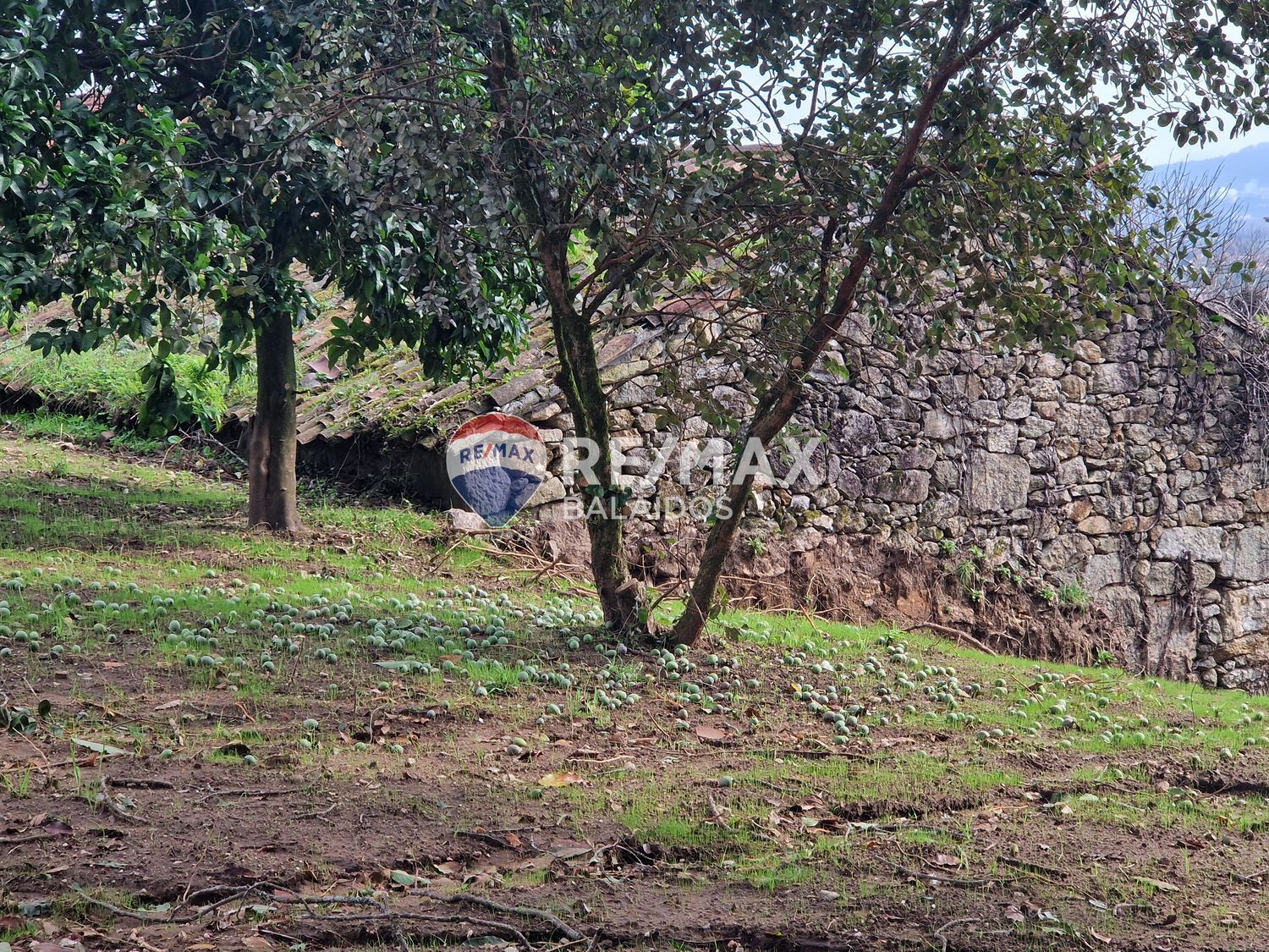 Casas o chalets-Venta-Tui-1438810-Foto-24