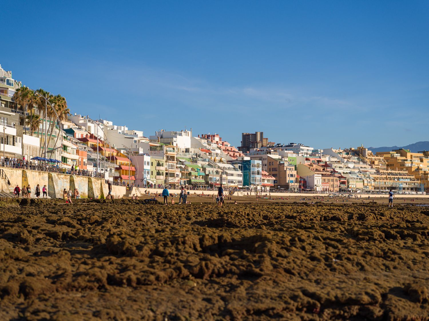 Negocios-Alquiler-Las Palmas de Gran Canaria-1385737-Foto-3