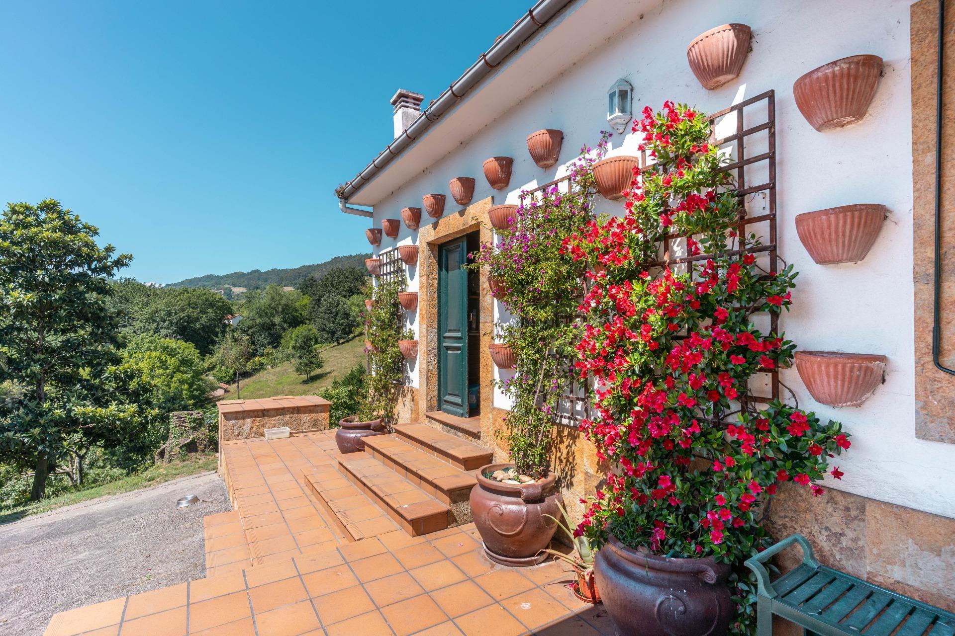Casas o chalets-Venta-Oviedo-999591-Foto-7