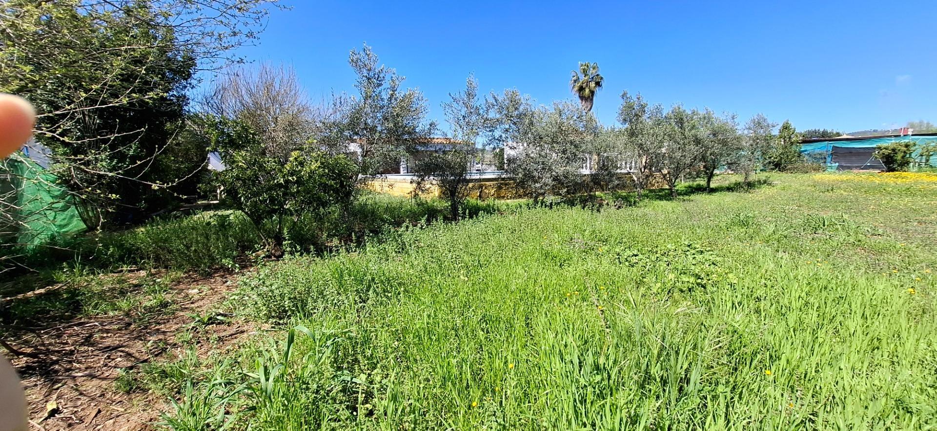 Casas o chalets-Venta-Lora del RÃ­o-1685515-Foto-43