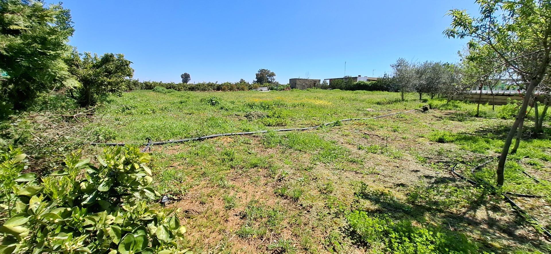 Casas o chalets-Venta-Lora del RÃ­o-1685515-Foto-54