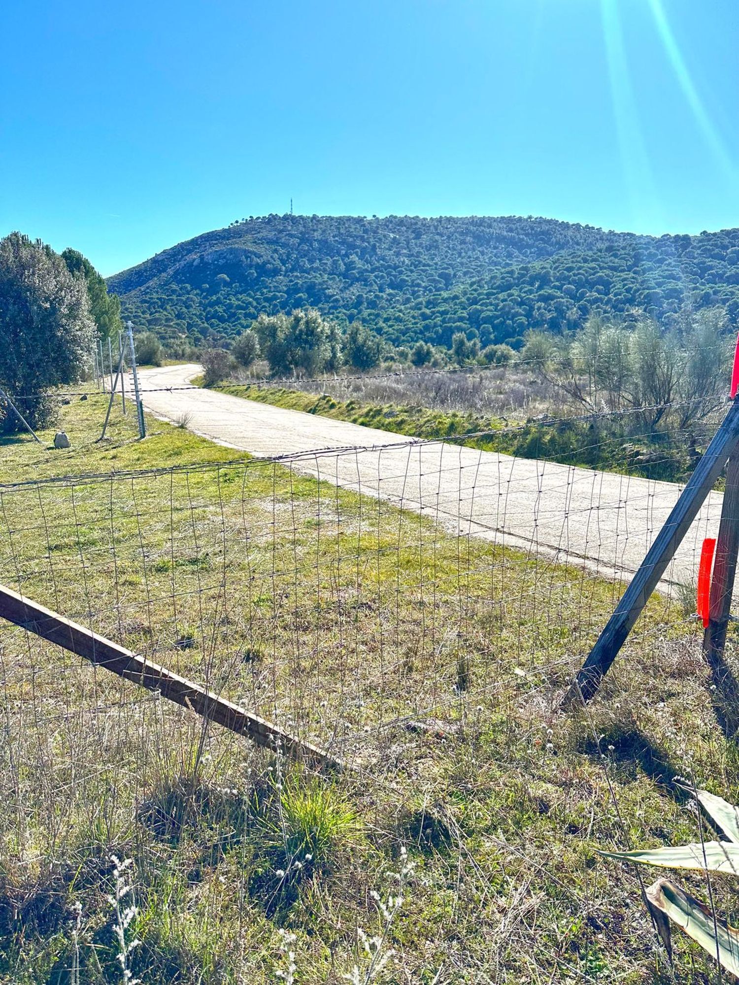 Fincas y solares-Venta-Cebreros-1641521-Foto-5