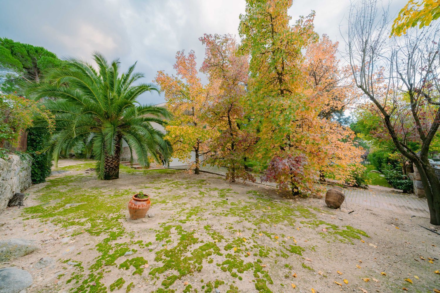 Casas o chalets-Venta-Torrelodones-1443723-Foto-6