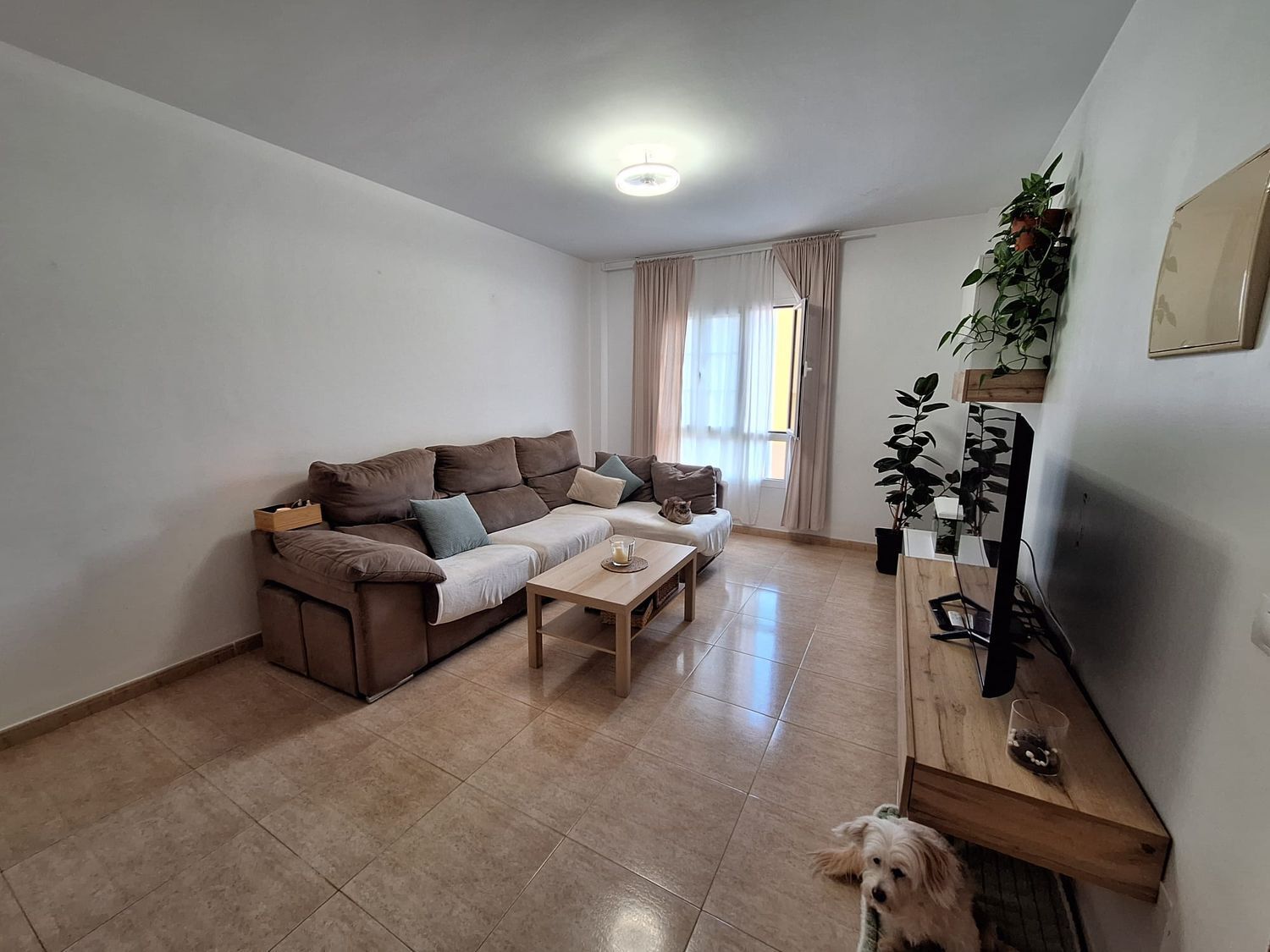 Pisos-Venta-Ingenio-1684840-Foto-4