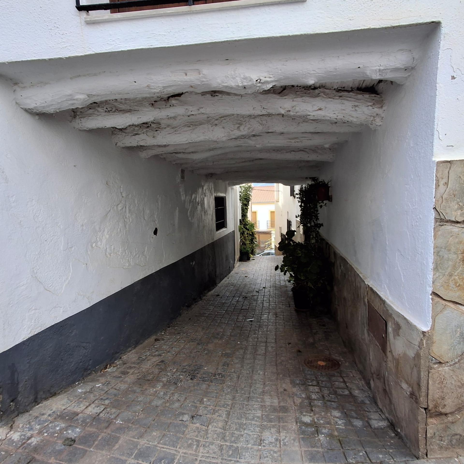 Casas o chalets-Venta-LÃ¡ujar de Andarax-1717041-Foto-14