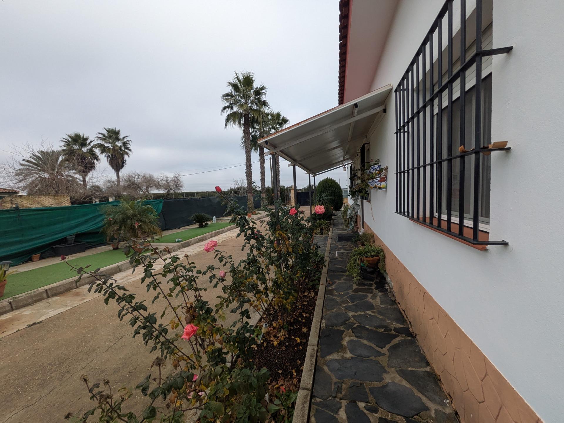Casas o chalets-Venta-Carmona-1535101-Foto-46
