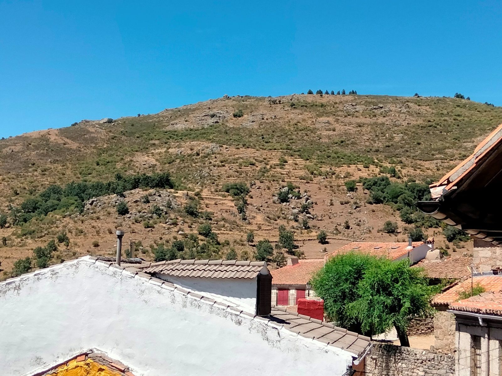 Casas o chalets-Venta-Navacepedilla de Corneja-1036439-Foto-37