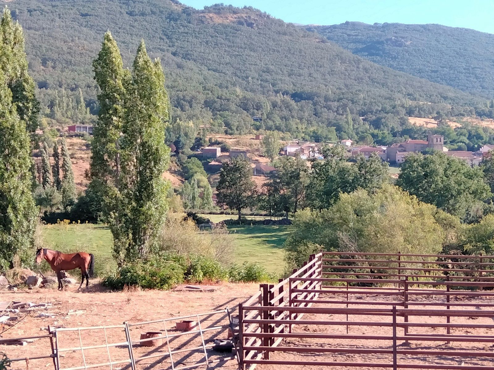 Casas o chalets-Venta-Navacepedilla de Corneja-1036439-Foto-45